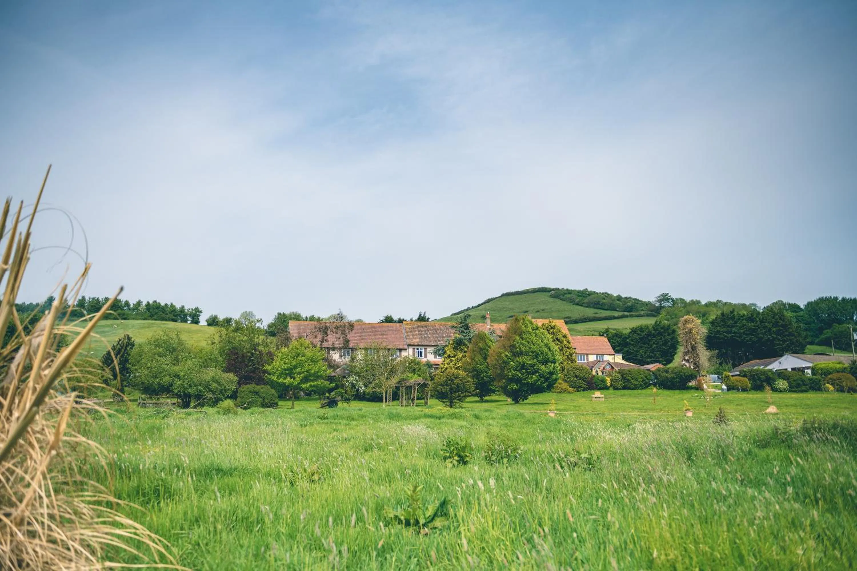 Natural landscape in The Grange Hotel Brent Knoll