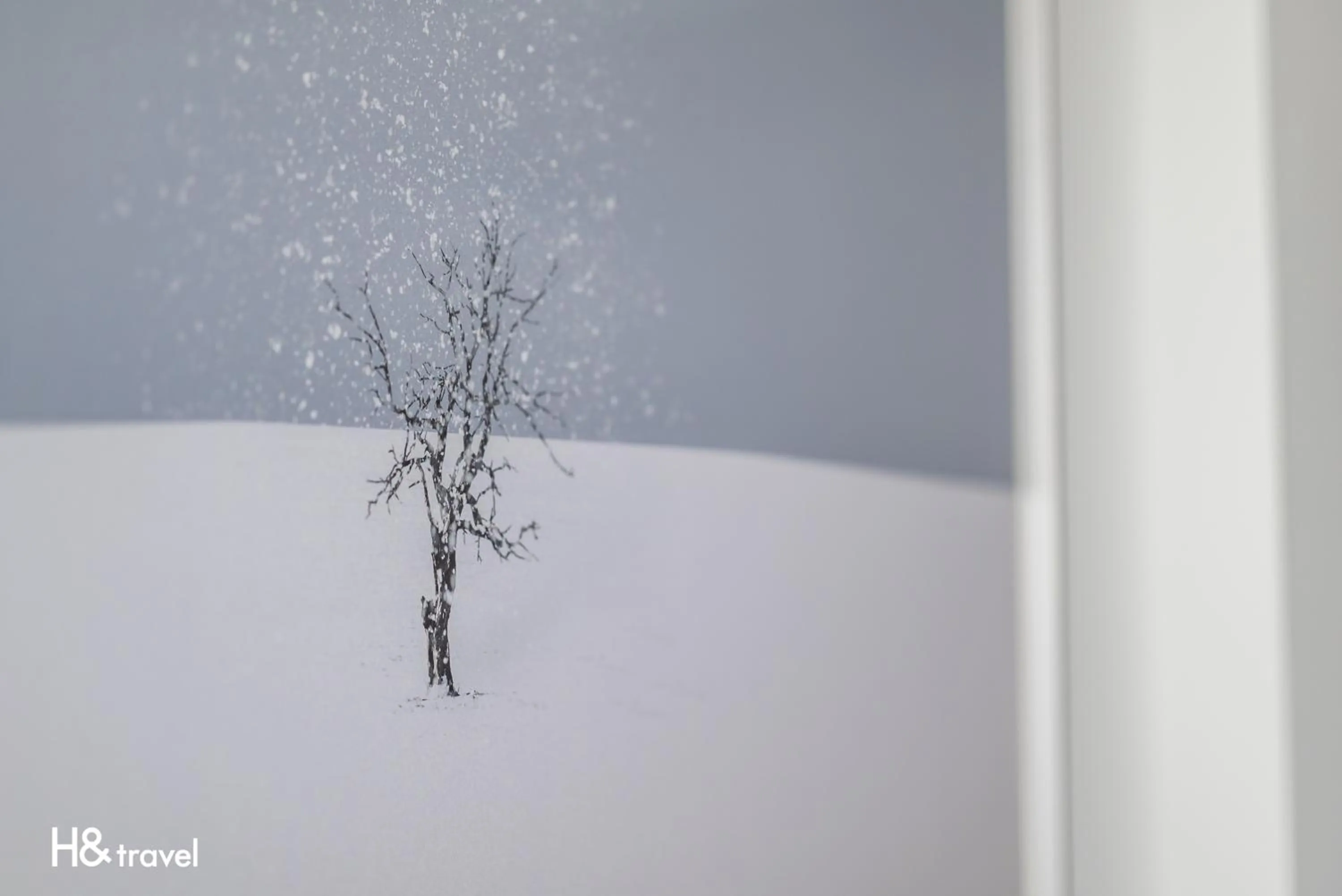 Decorative detail in Taitung Spring Homestay B&B