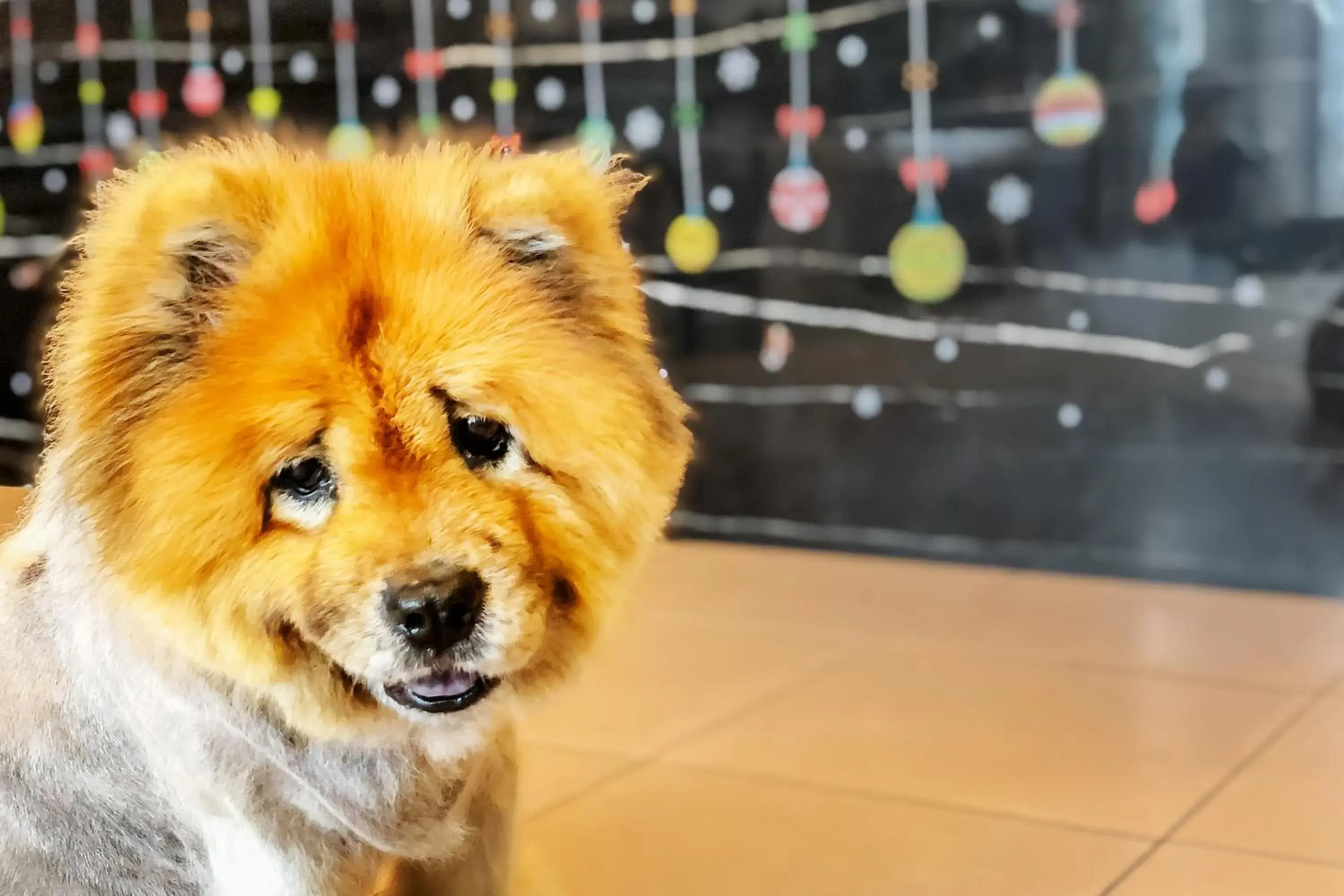 Lobby or reception in Taitung Spring Homestay B&B Lobby or reception in Taitung Spring Homestay B&B