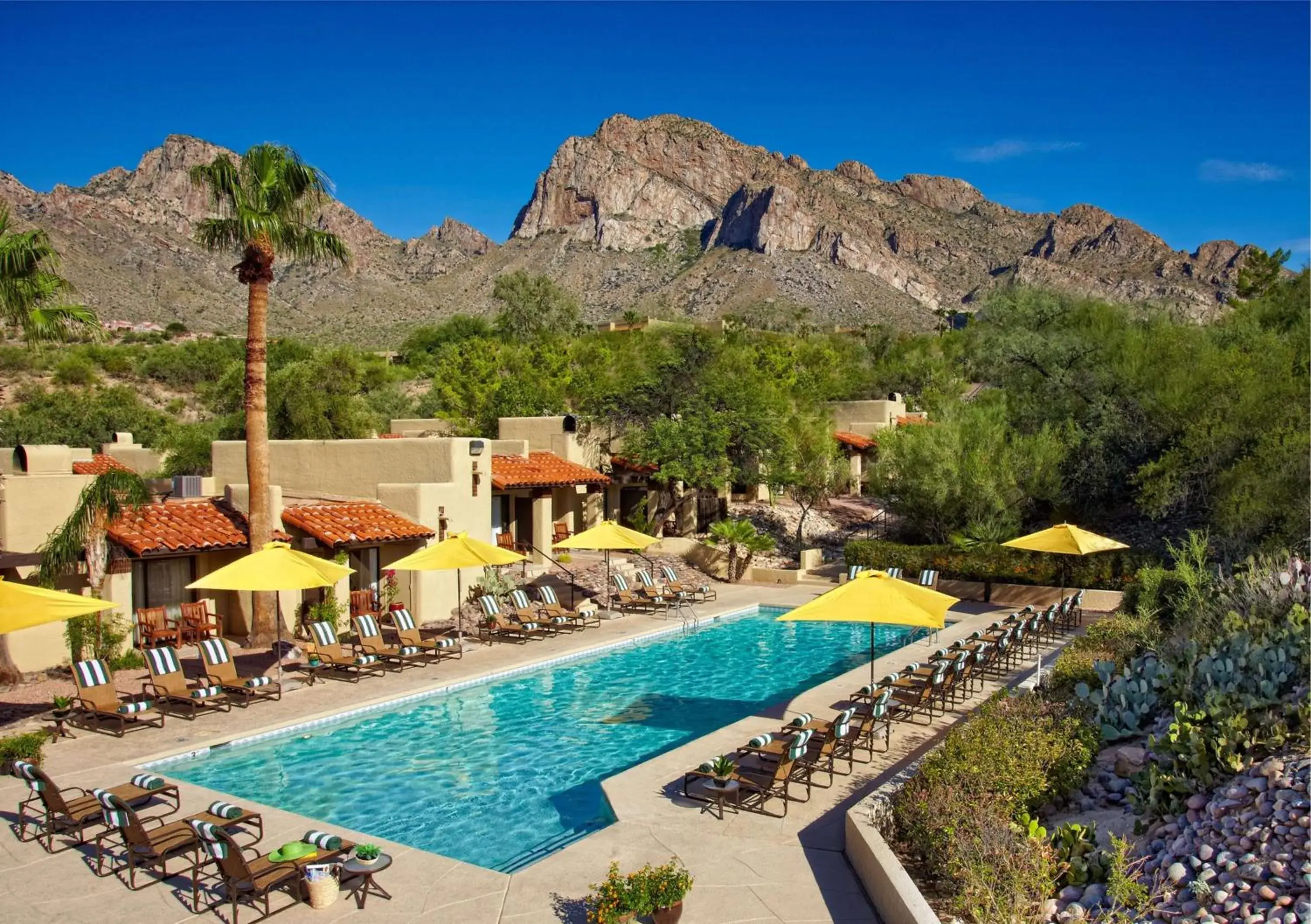 Pool view in El Conquistador Tucson, A Hilton Resort Pool view in El Conquistador Tucson, A Hilton Resort