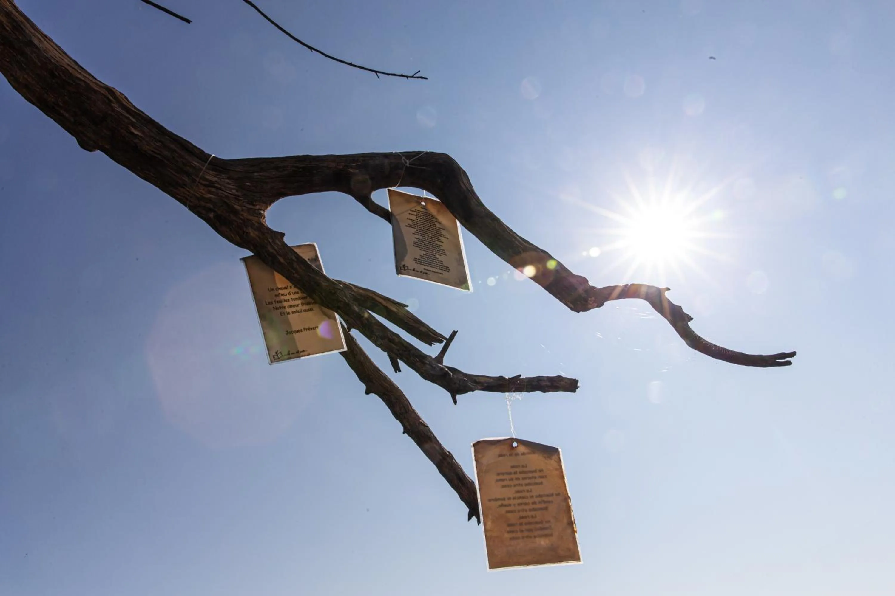 Day in La Casa del Poeta Enna - Pergusa