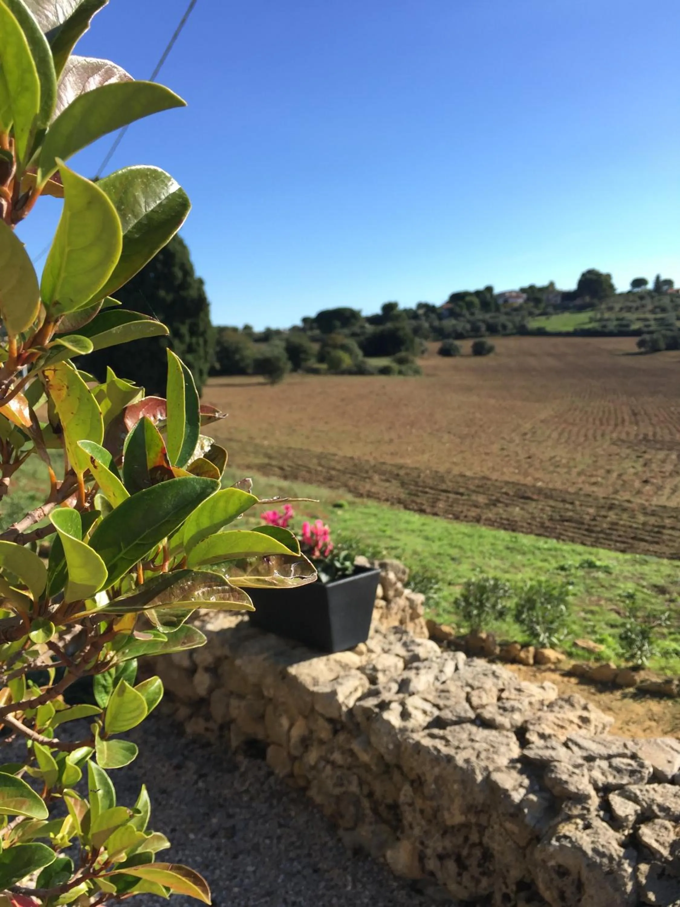 Natural landscape in La Casa del Poeta Enna - Pergusa