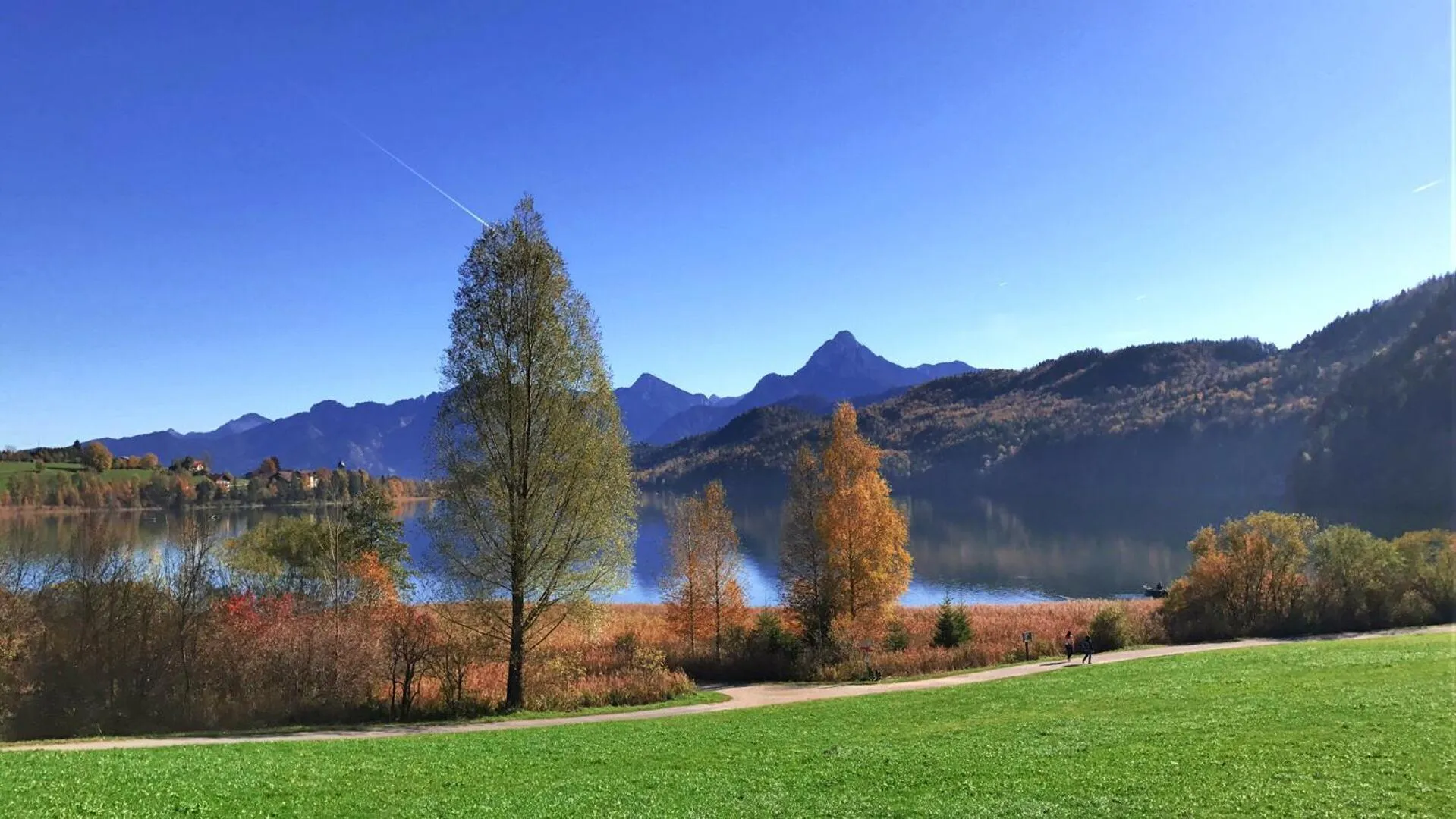 Natural landscape in Hotel Kienberger Hof