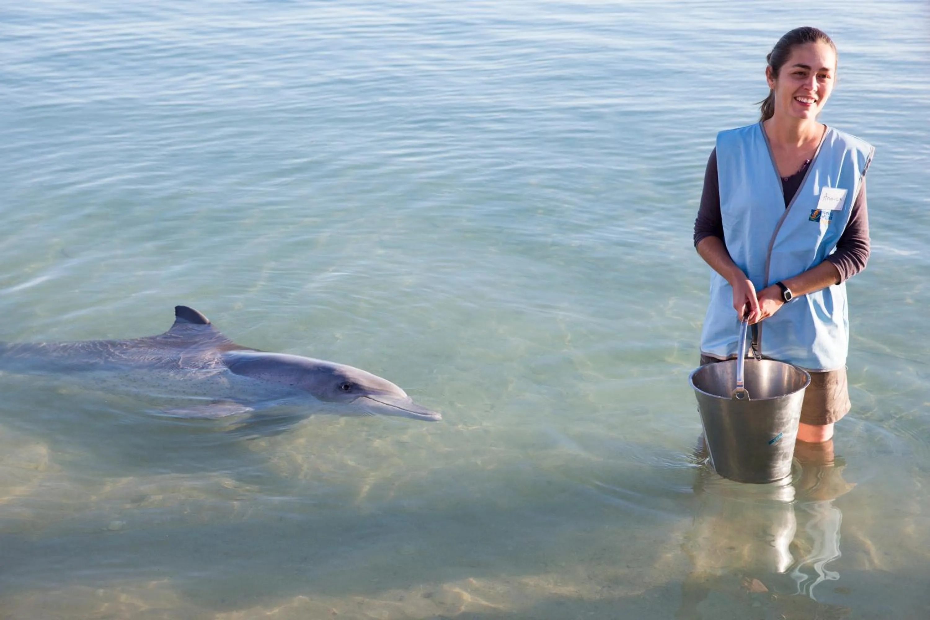 Animals in RAC Monkey Mia Dolphin Resort