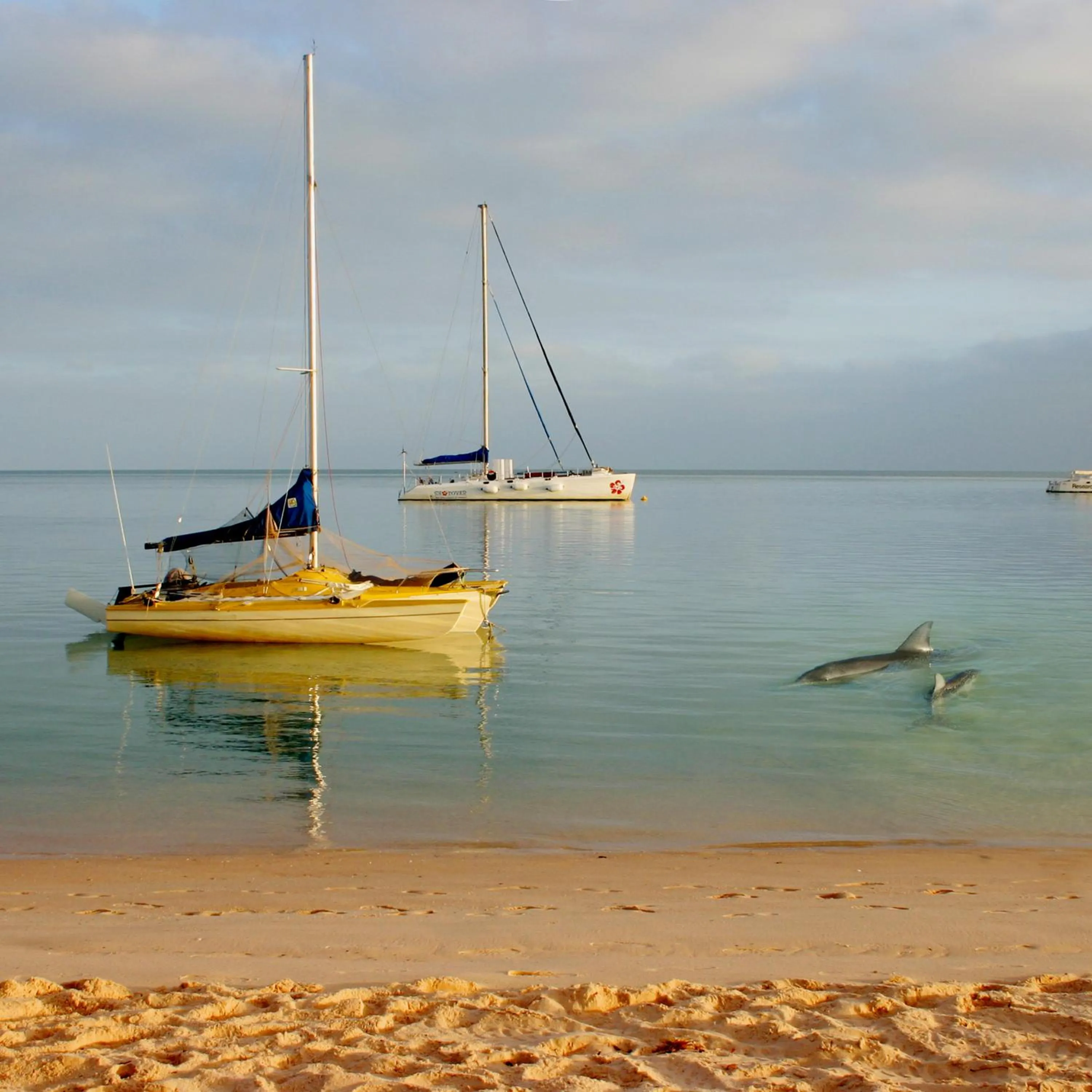 Area and facilities in RAC Monkey Mia Dolphin Resort