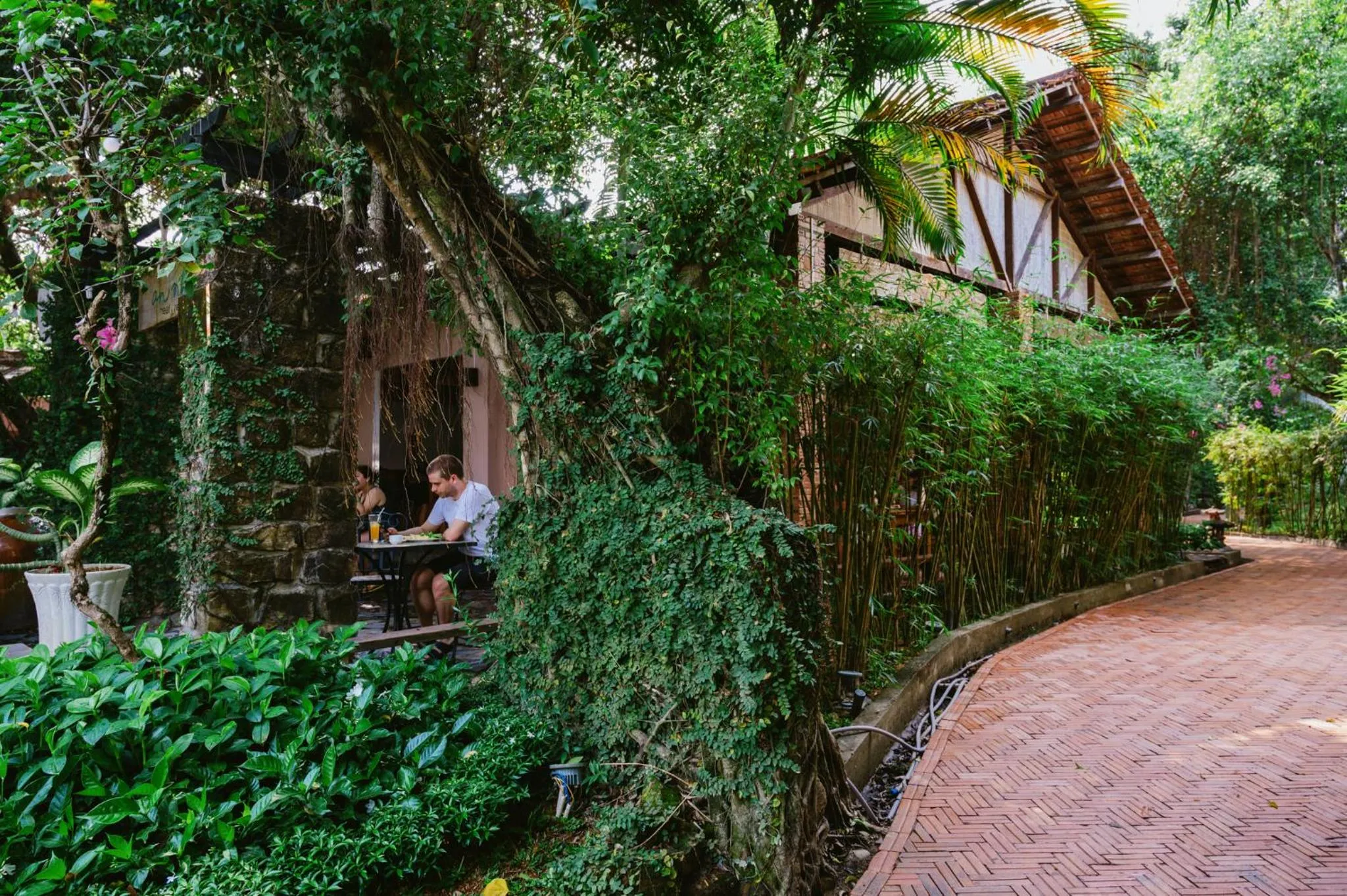 Natural landscape in An Nhien Retreat Phu Quoc with Yoga Daily & Beach access