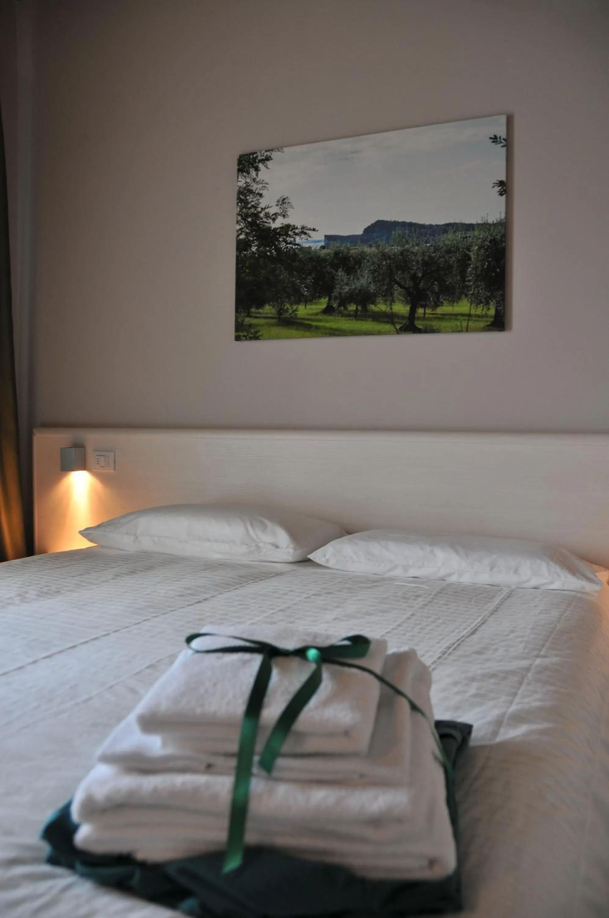 TV and multimedia, Bed in Bed & Breakfast Vieulif