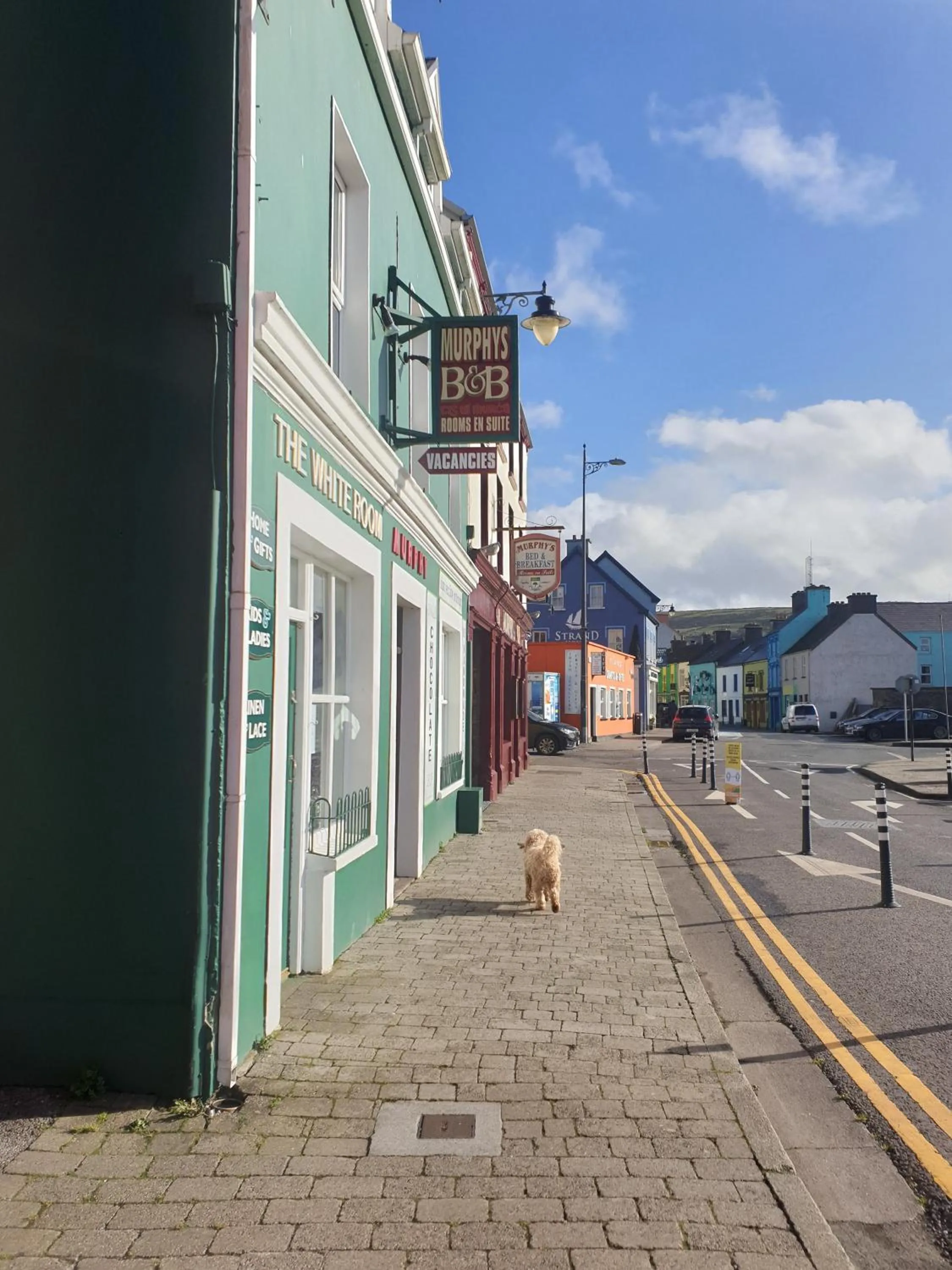 Neighbourhood in Murphy's Guesthouse