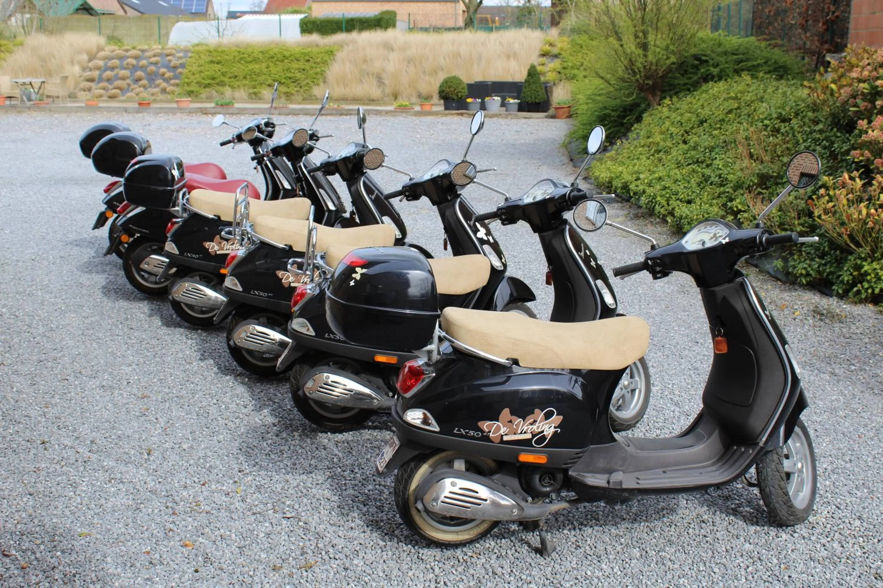 Activities in B&B De Vroling