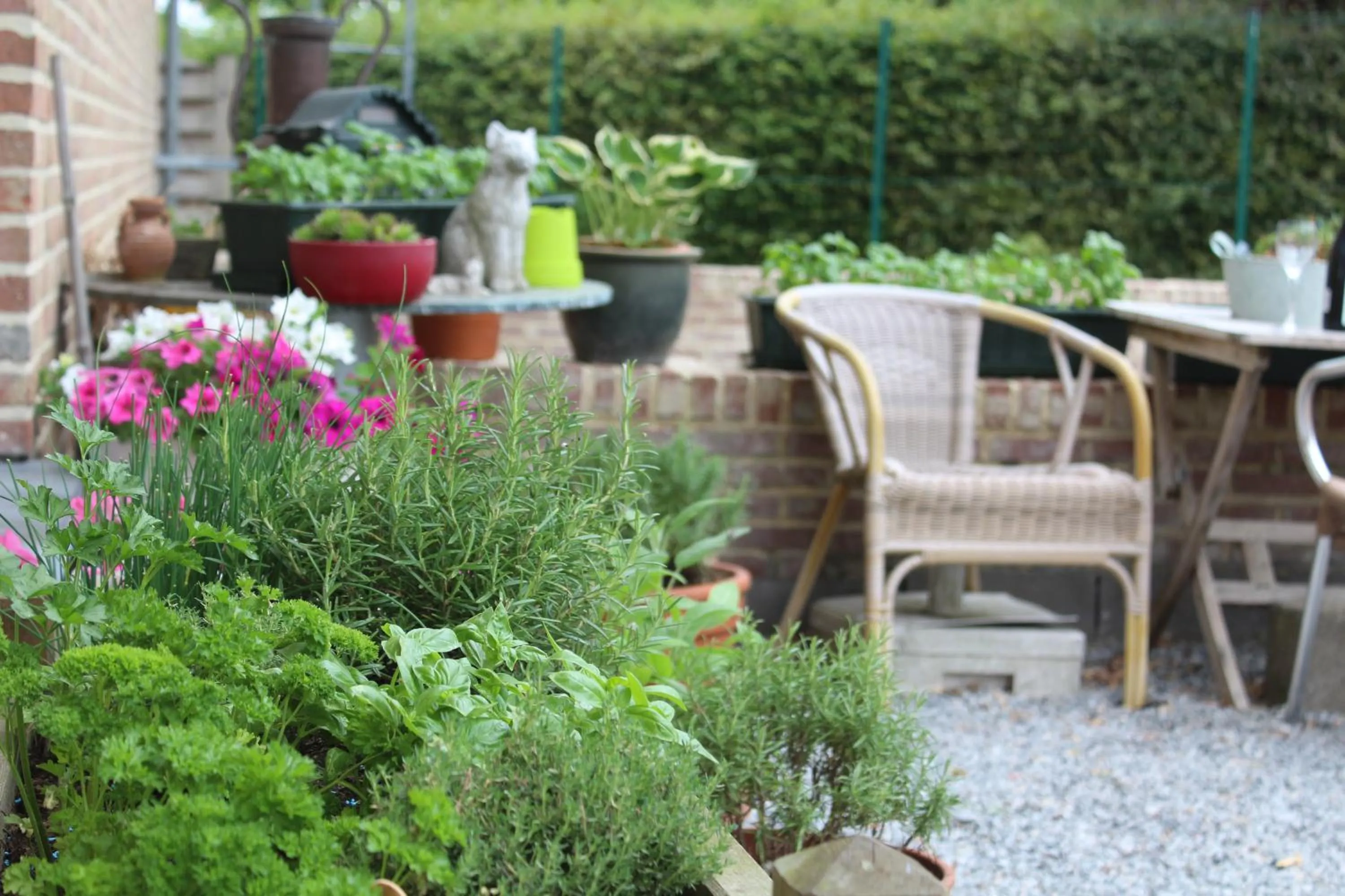 Garden in B&B De Vroling