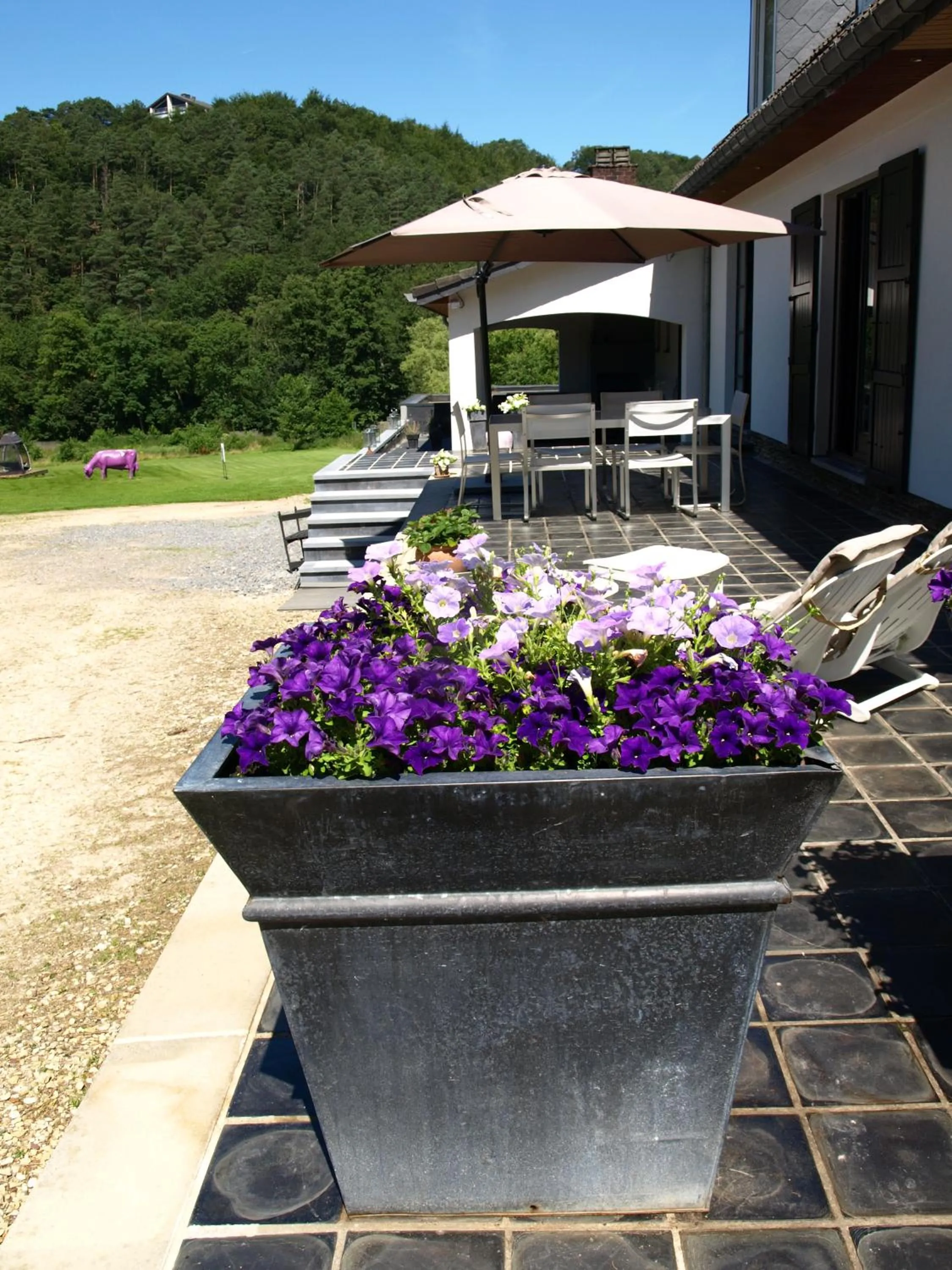 Studio & Appartement au Lac