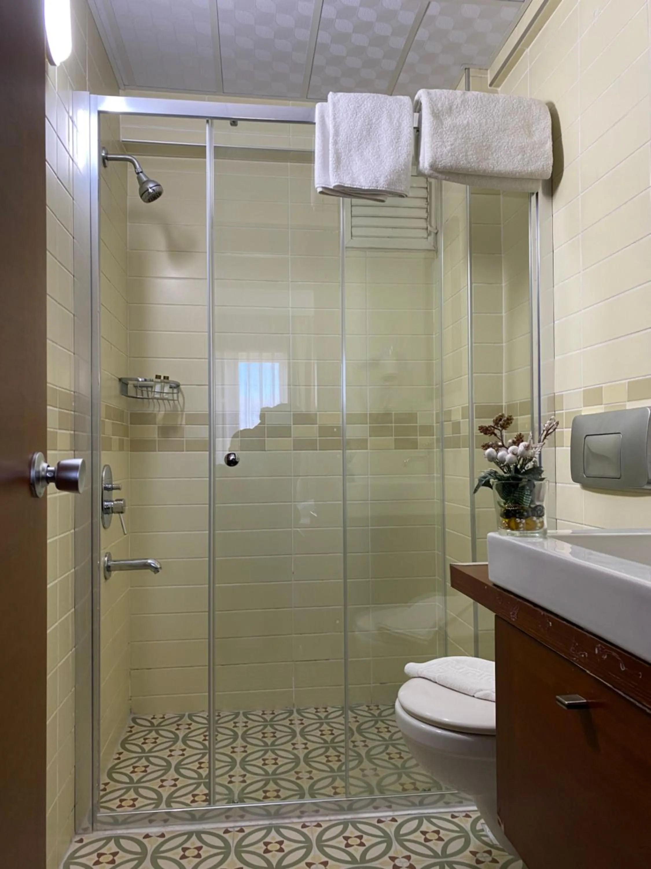 Shower in Hotel Pelit