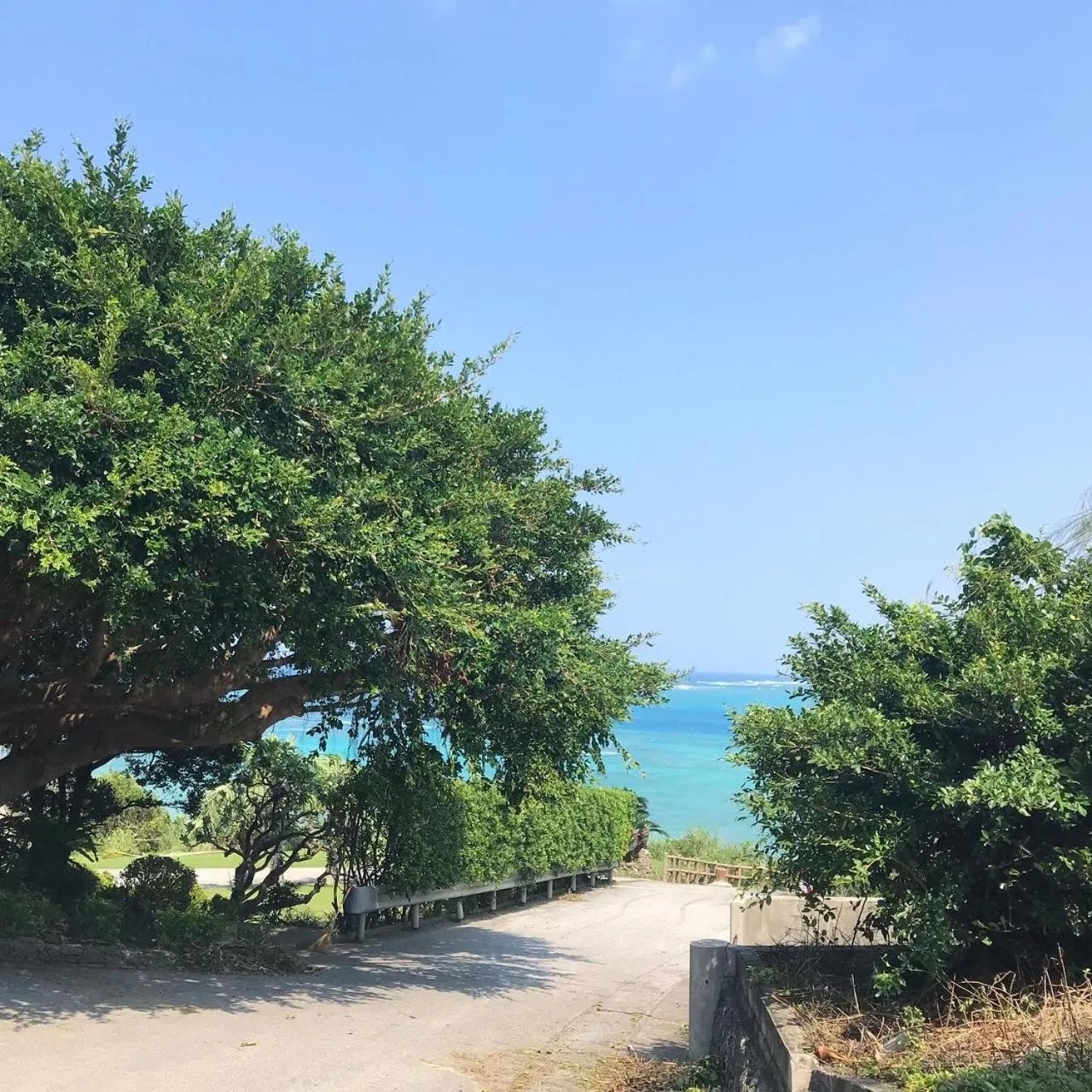 Off site in Blue Steak Wonder Nagahama