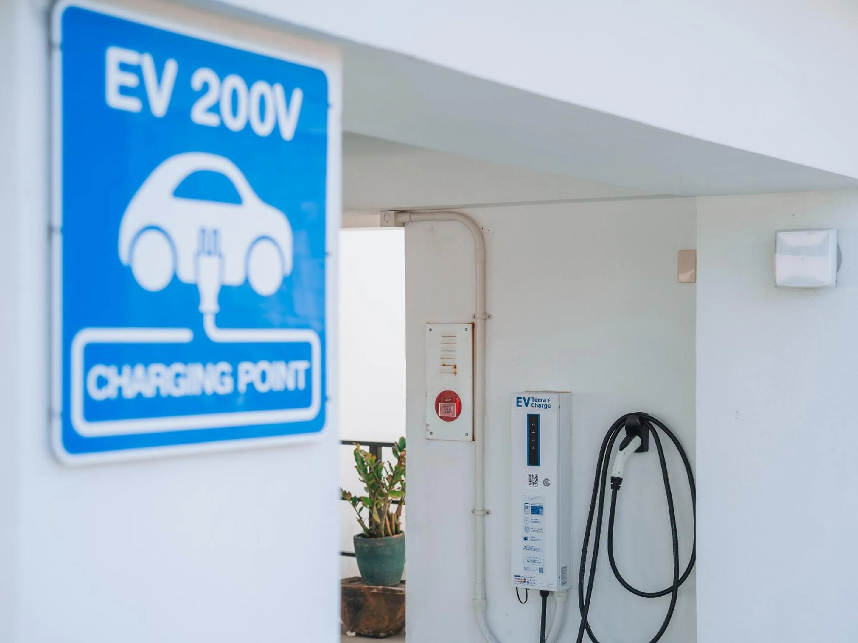 Area and facilities in Blue Steak Wonder Nagahama