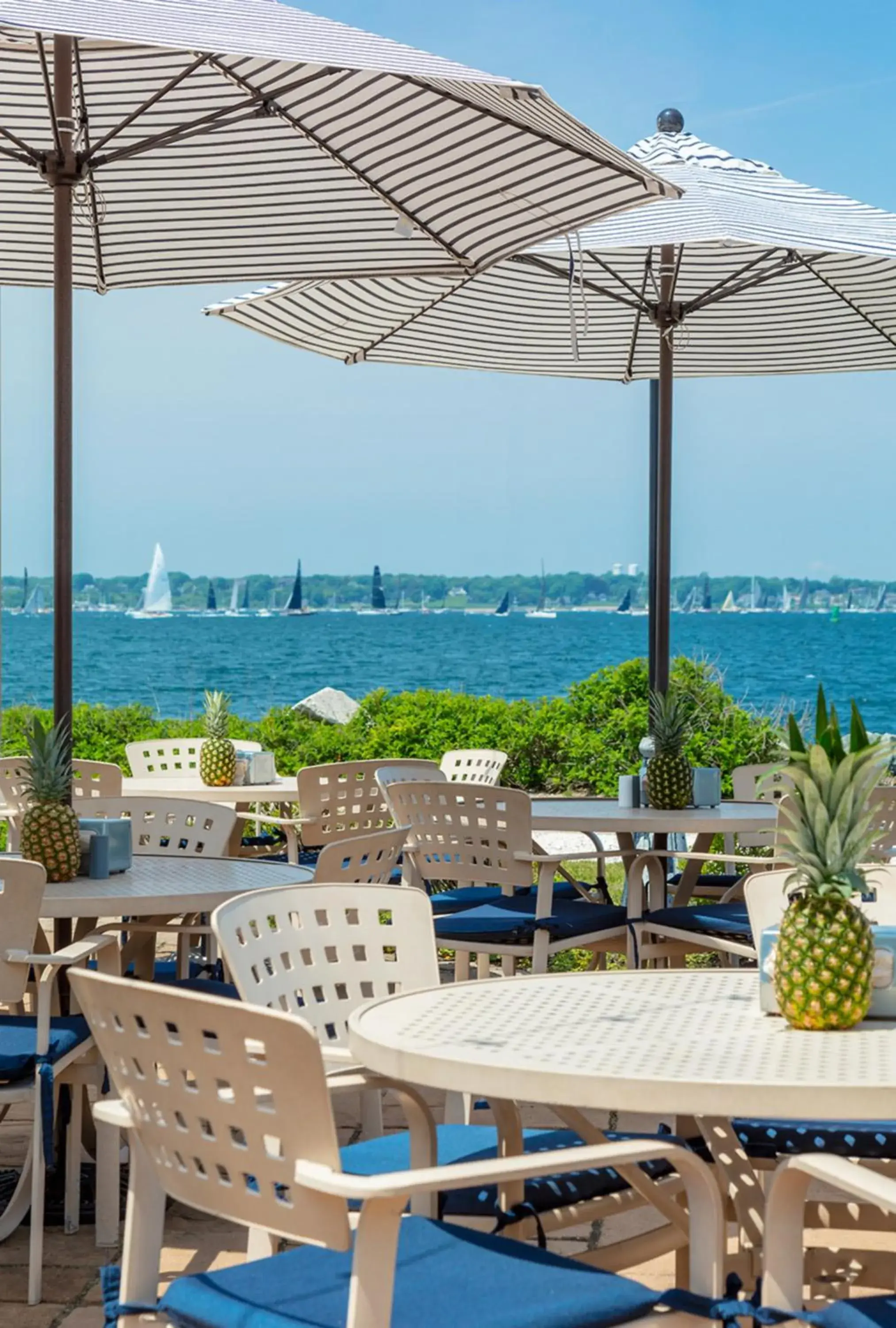 Lounge or bar in Newport Harbor Island Resort Lounge or bar in Newport Harbor Island Resort