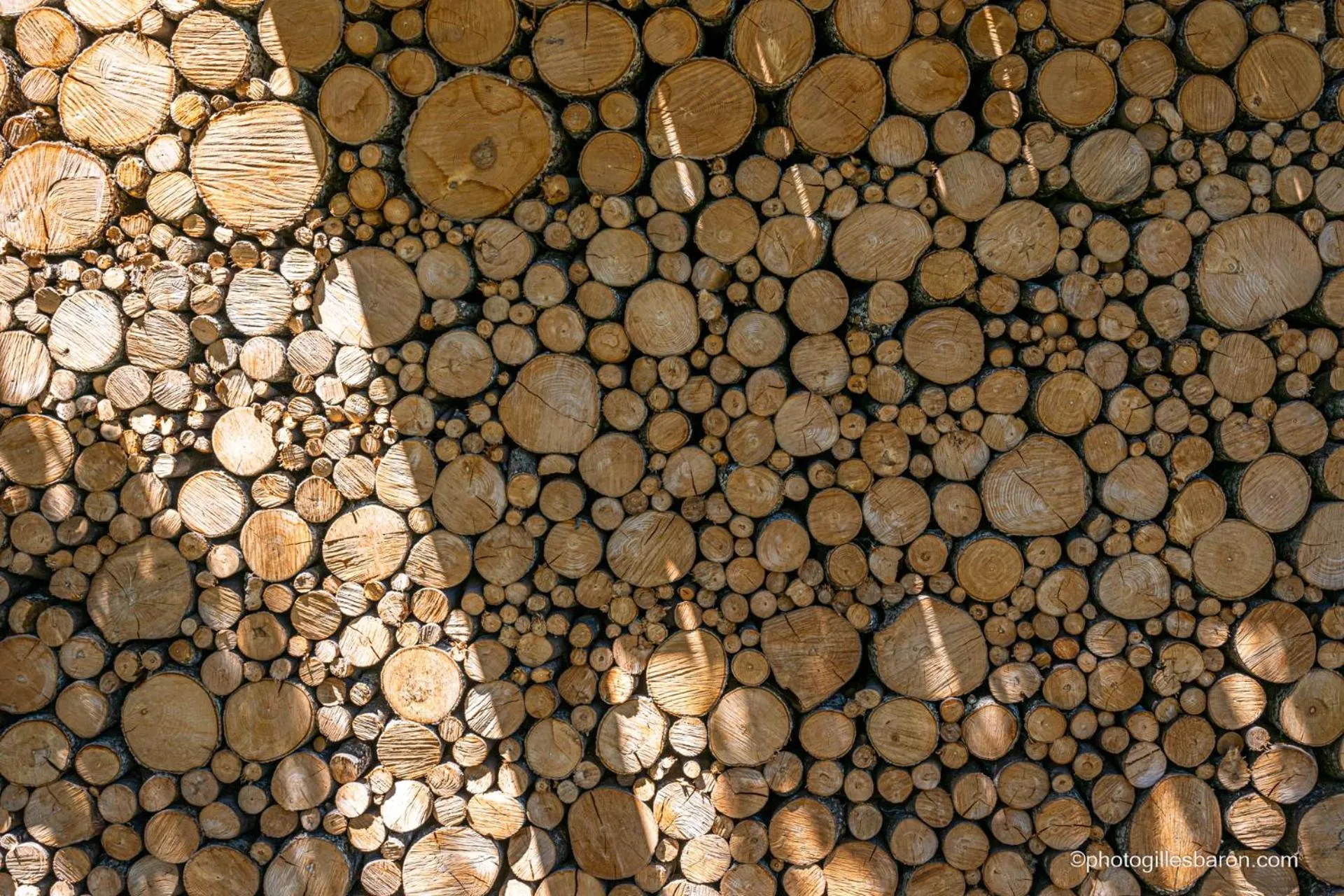 Facade/entrance in Chalet la Forestière