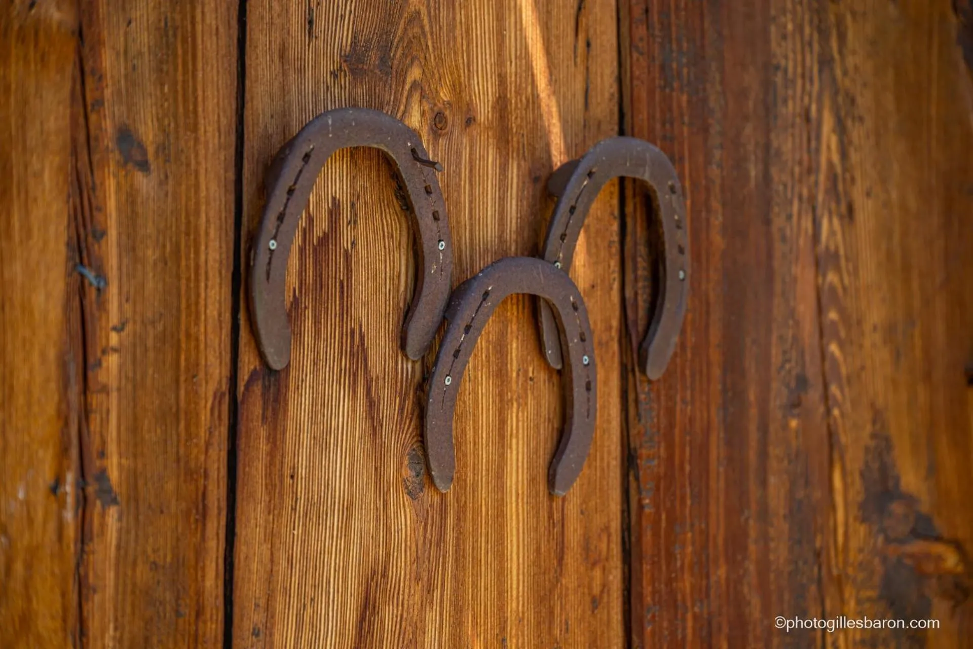 Decorative detail in Chalet la Forestière