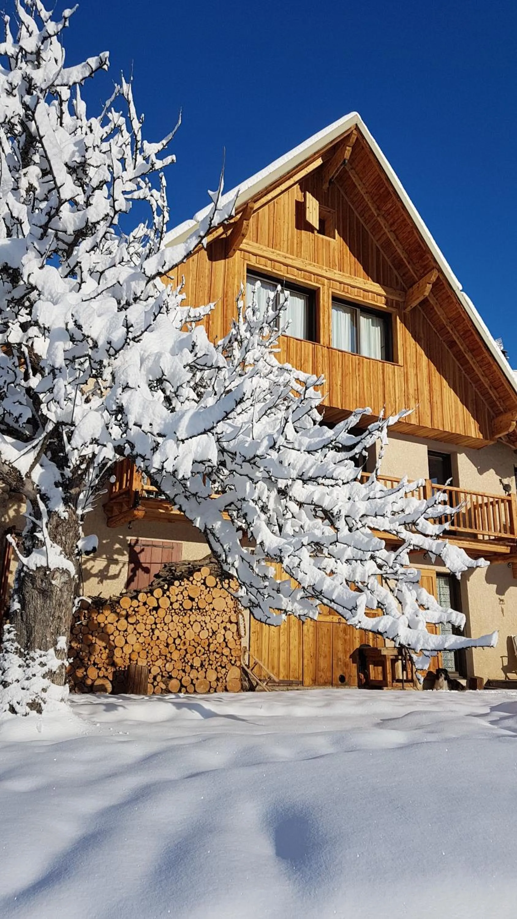 Property building in Chalet la Forestière