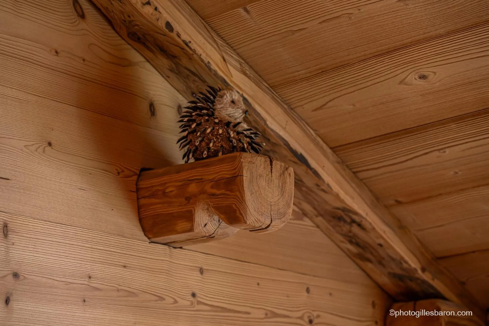 Decorative detail in Chalet la Forestière