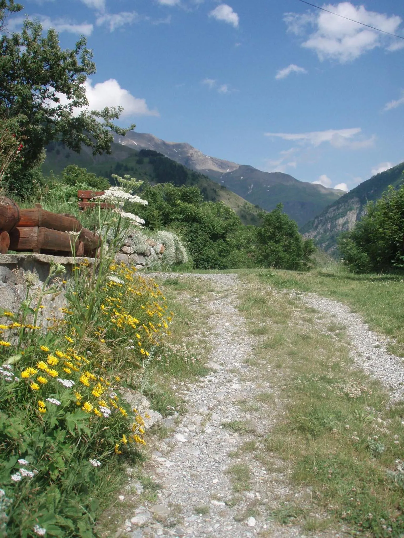 Garden in Chalet la Forestière