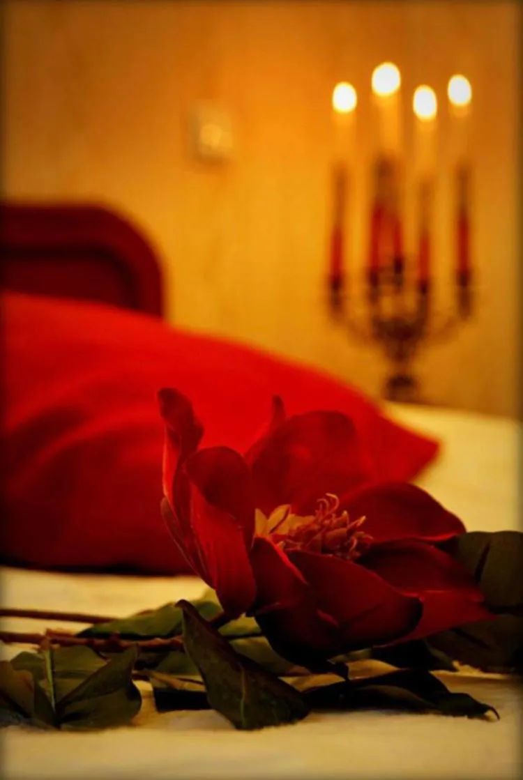 Hotel Zaodrze