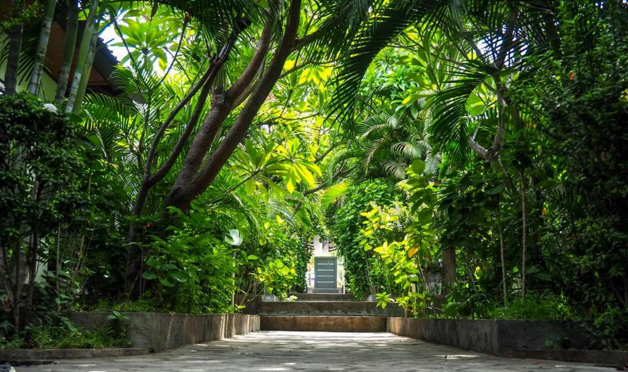 Garden in Scuba Tribe Bali dive-resort