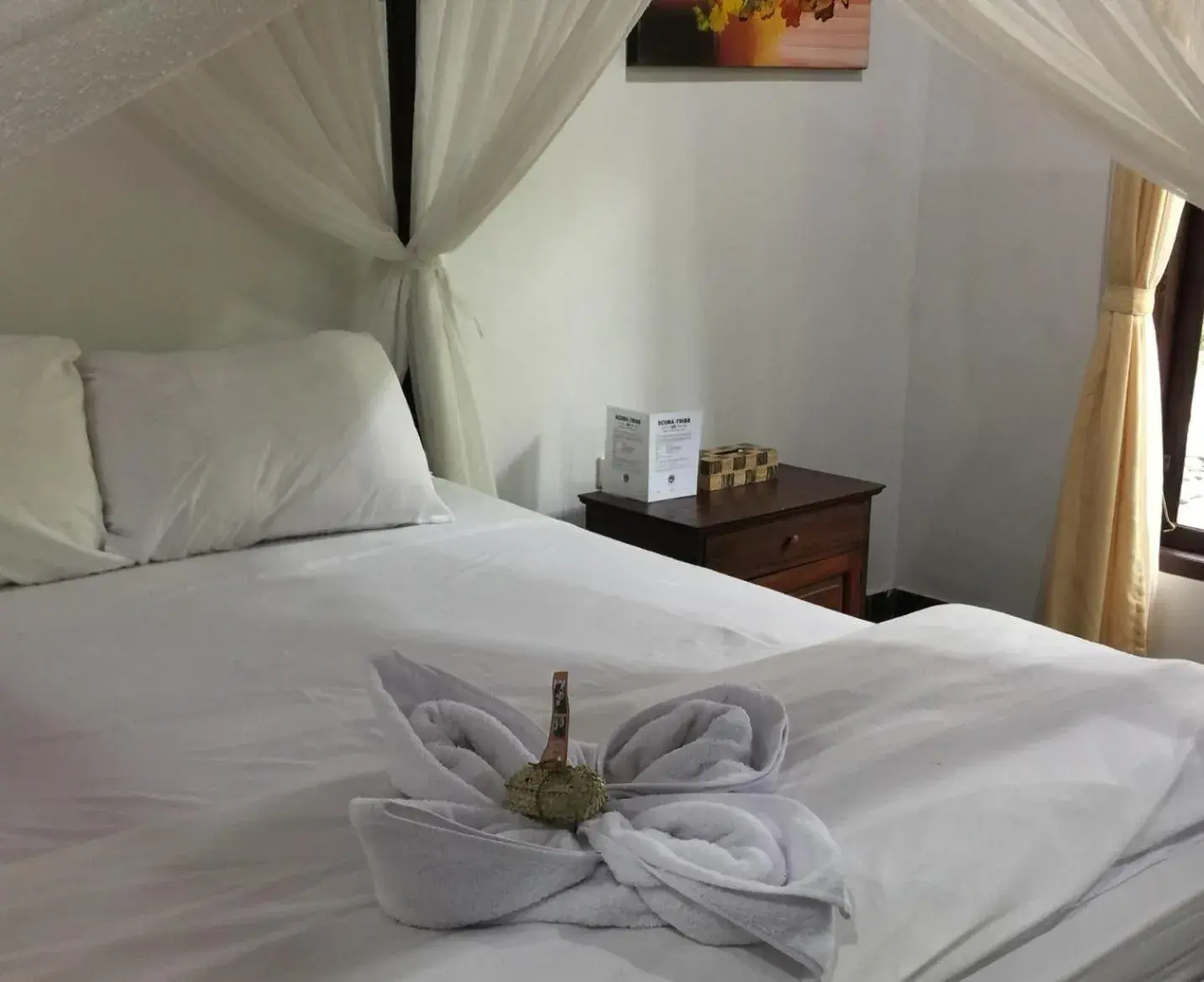 Bedroom, Bed in Scuba Tribe Bali dive-resort Bedroom, Bed in Scuba Tribe Bali dive-resort