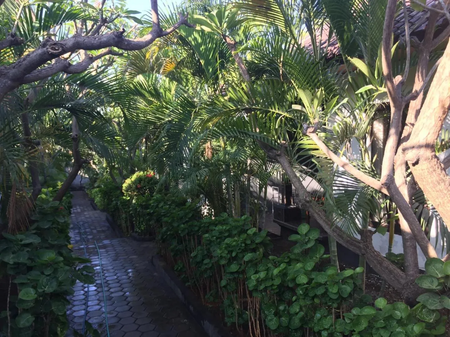 Garden in Scuba Tribe Bali dive-resort