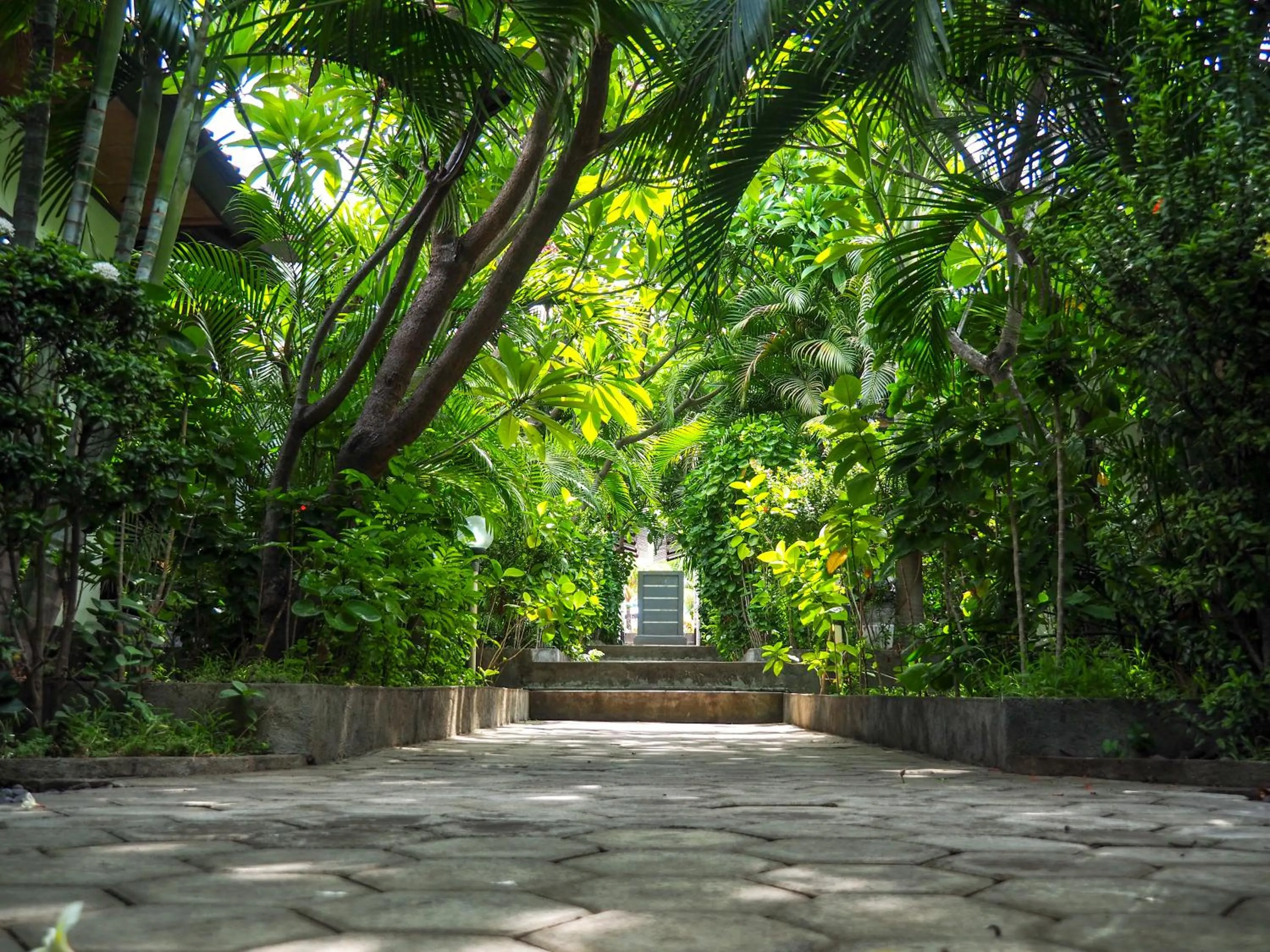 Garden in Scuba Tribe Bali dive-resort