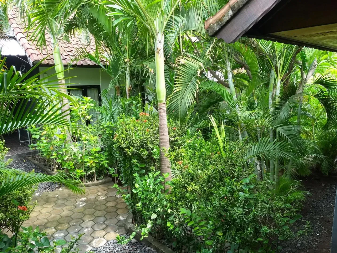 Garden in Scuba Tribe Bali dive-resort