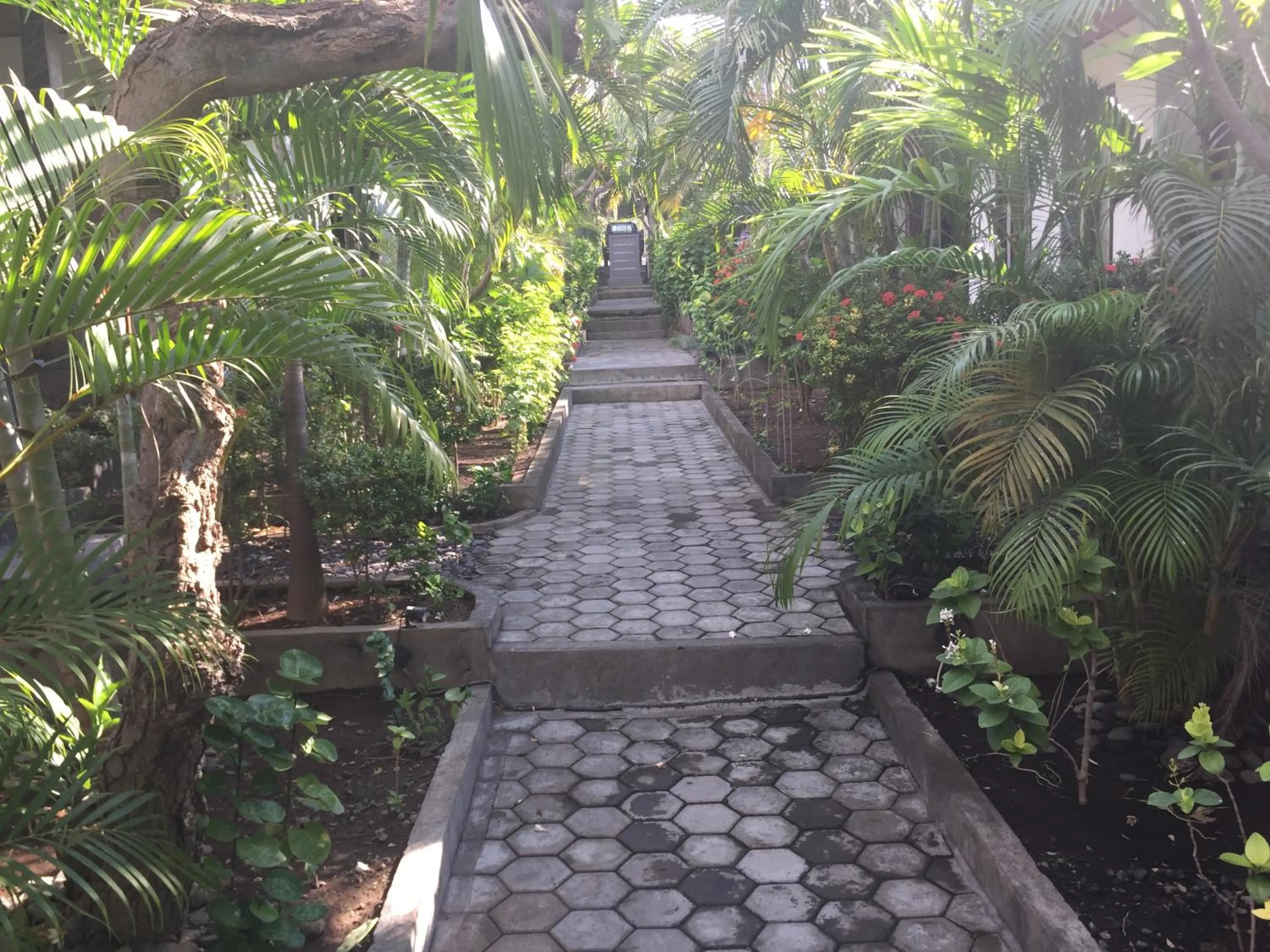 Garden in Scuba Tribe Bali dive-resort