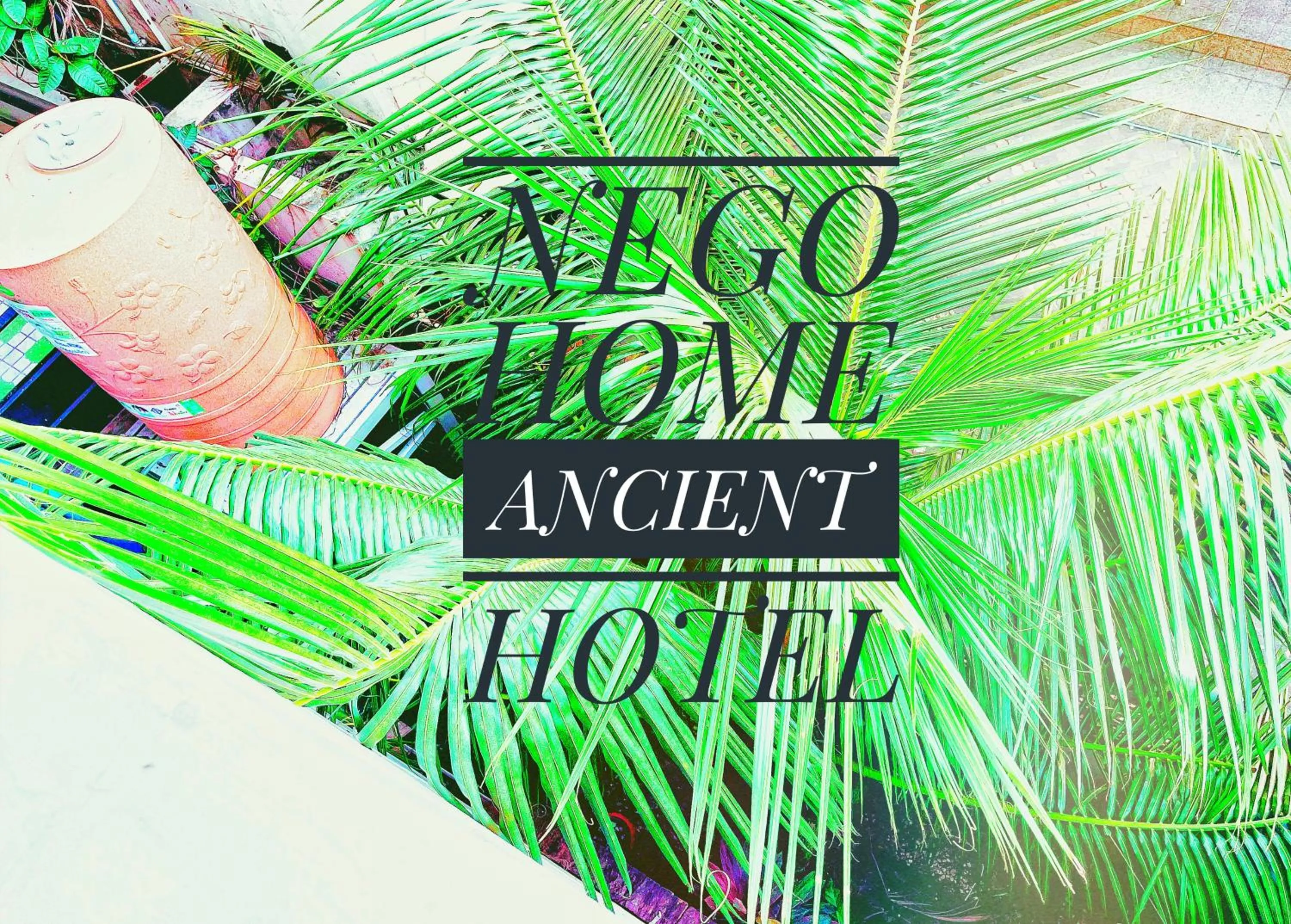 Nego Home Ancient Inn