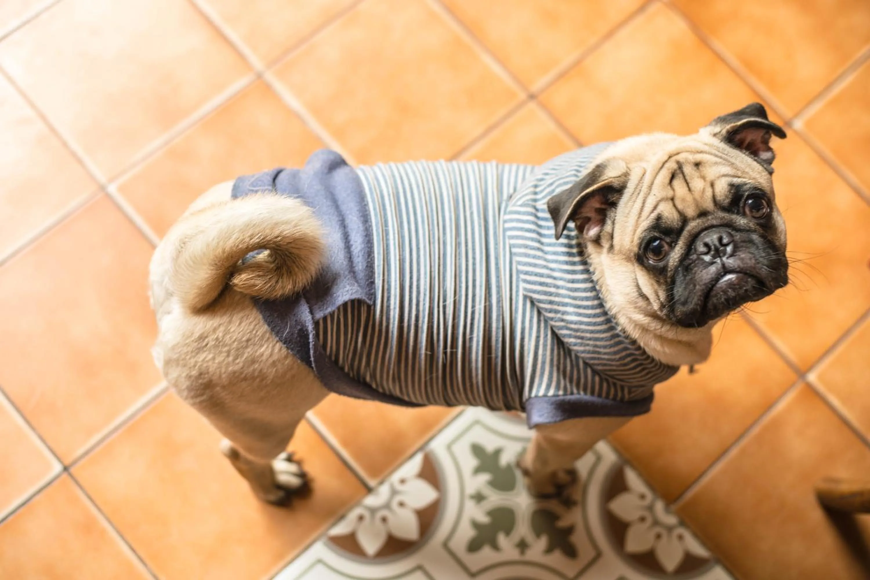 Property building in Nego Home Ancient Inn