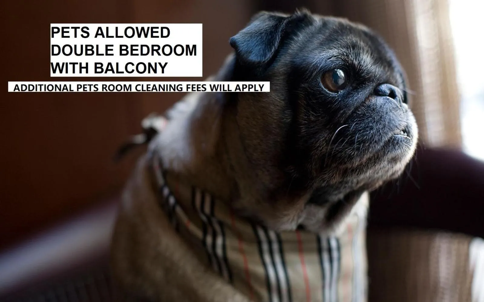 Nego Home Ancient Inn