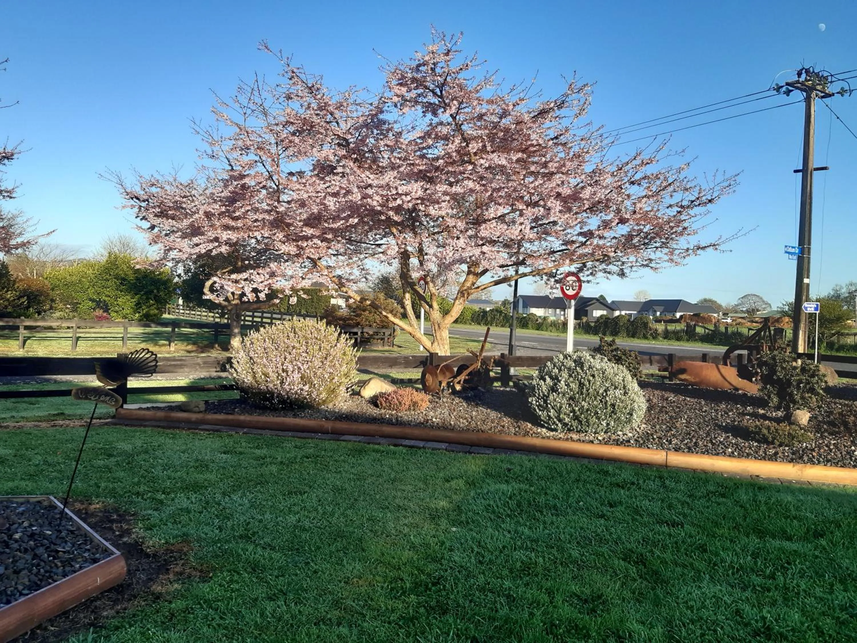 Spring in Denchys B&B