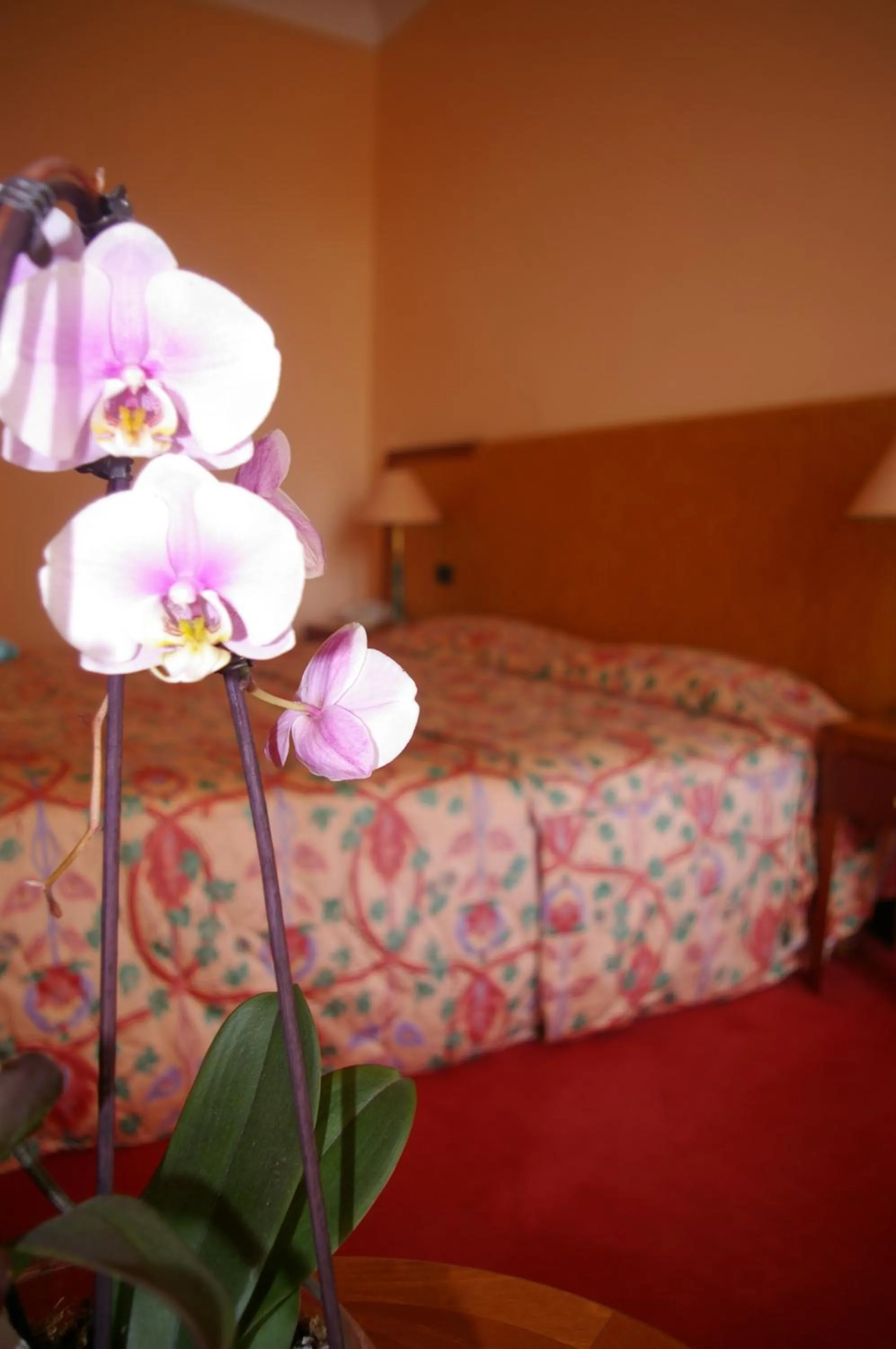 Decorative detail, Bed in Hôtel Aletti Palace