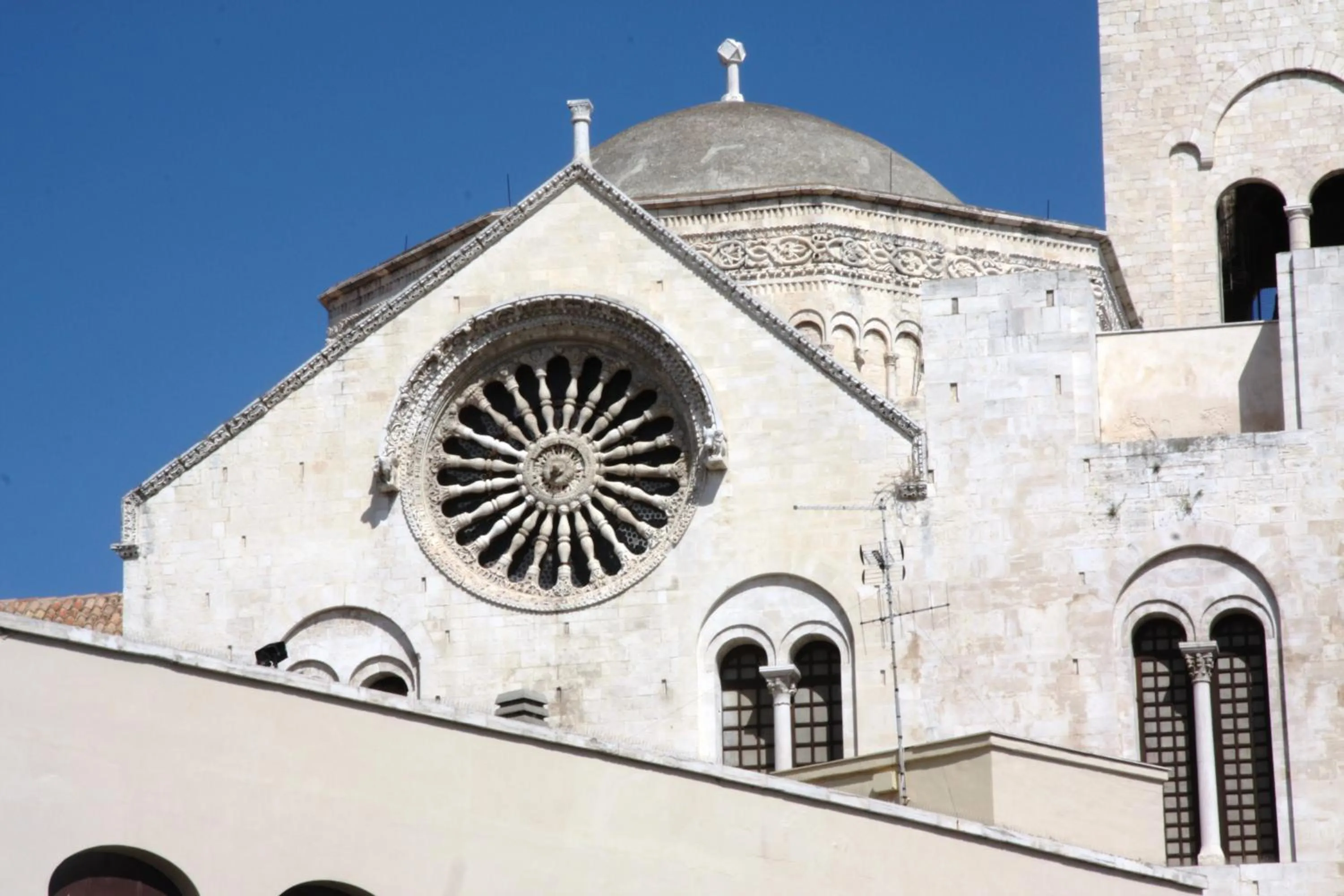 Area and facilities in Villa Dafne