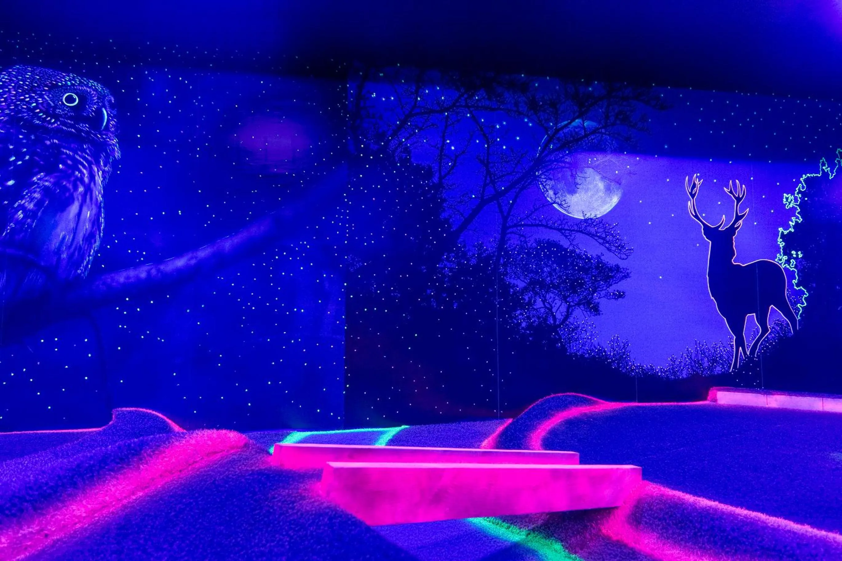 Minigolf in Alpenbad Hotel Hohenhaus