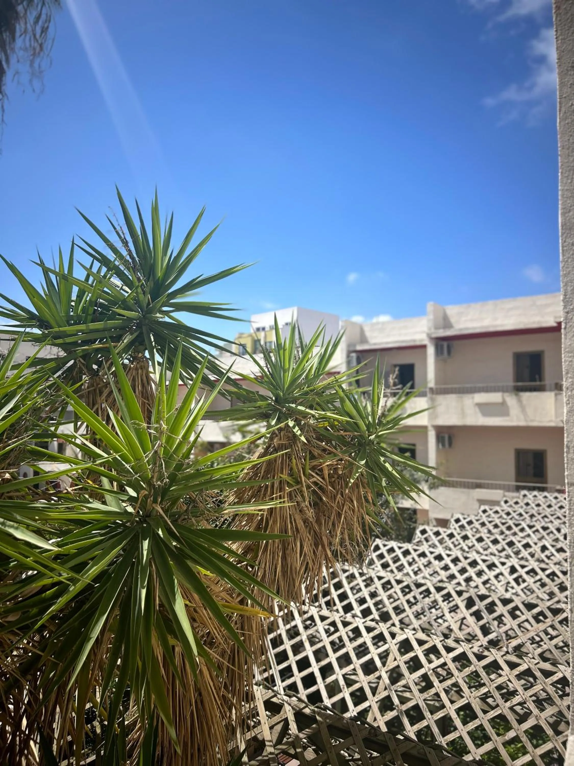 Day in The San Anton Hotel