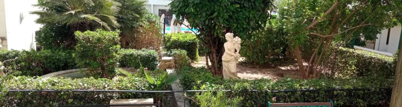Garden in The San Anton Hotel