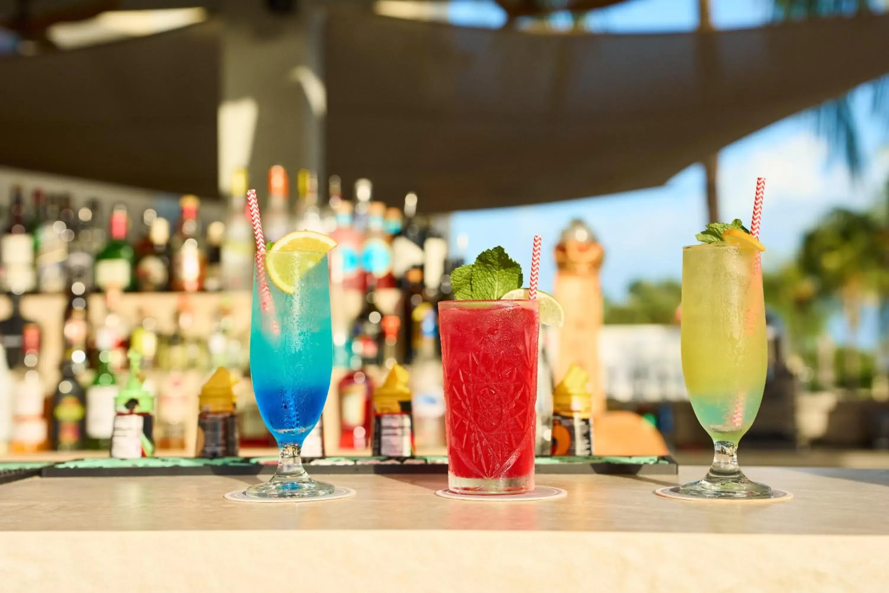 Lounge or bar in Papagayo Beach Hotel Lounge or bar in Papagayo Beach Hotel