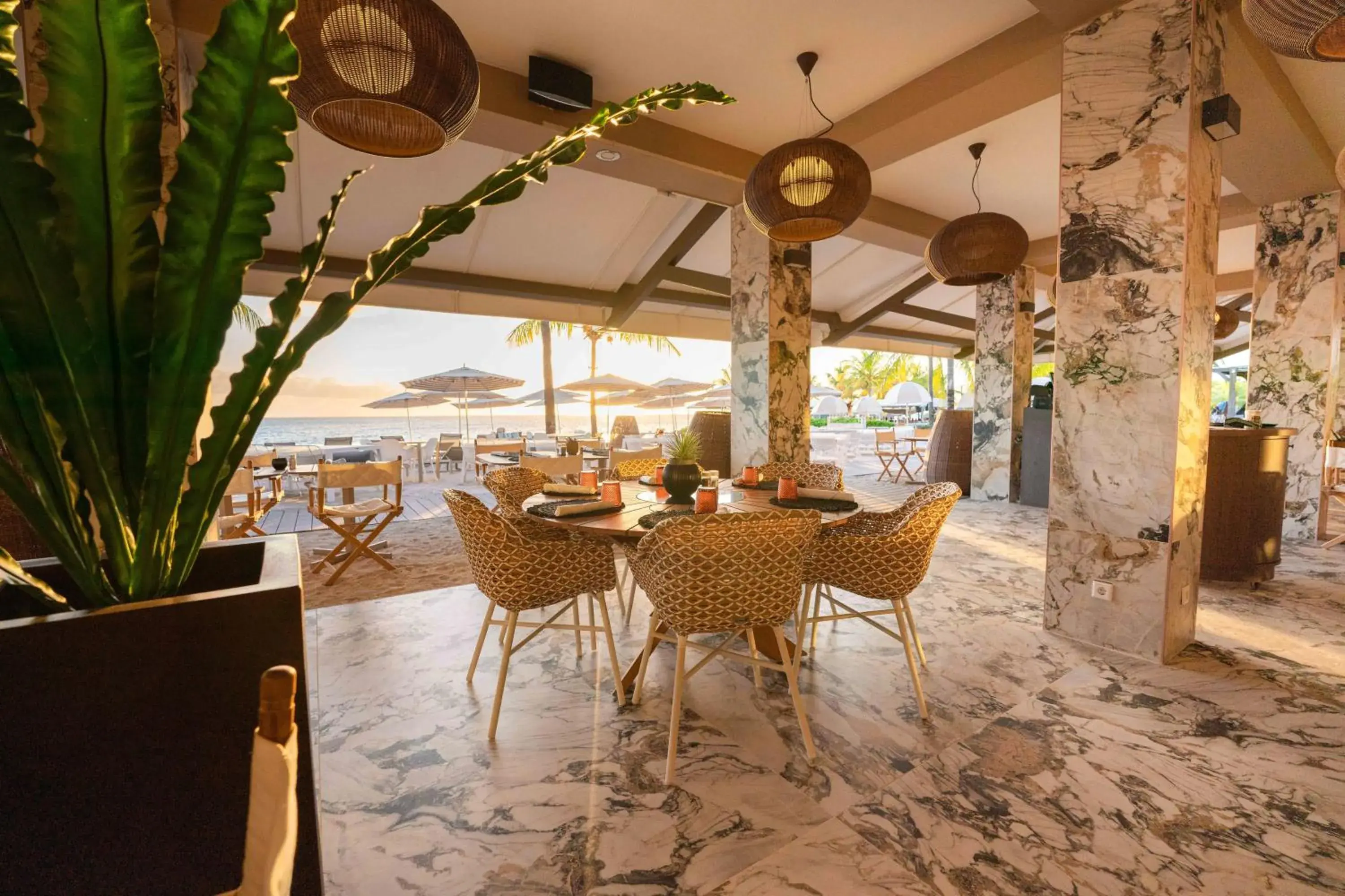 Restaurant/places to eat in Papagayo Beach Hotel Restaurant/places to eat in Papagayo Beach Hotel