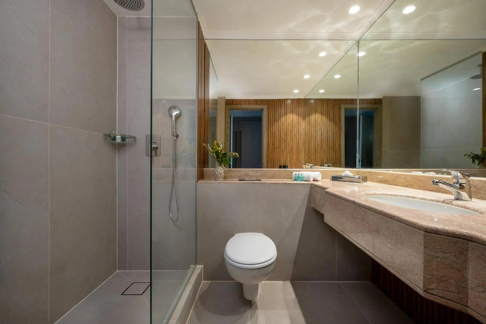 Bathroom in Leonardo Hotel Negev