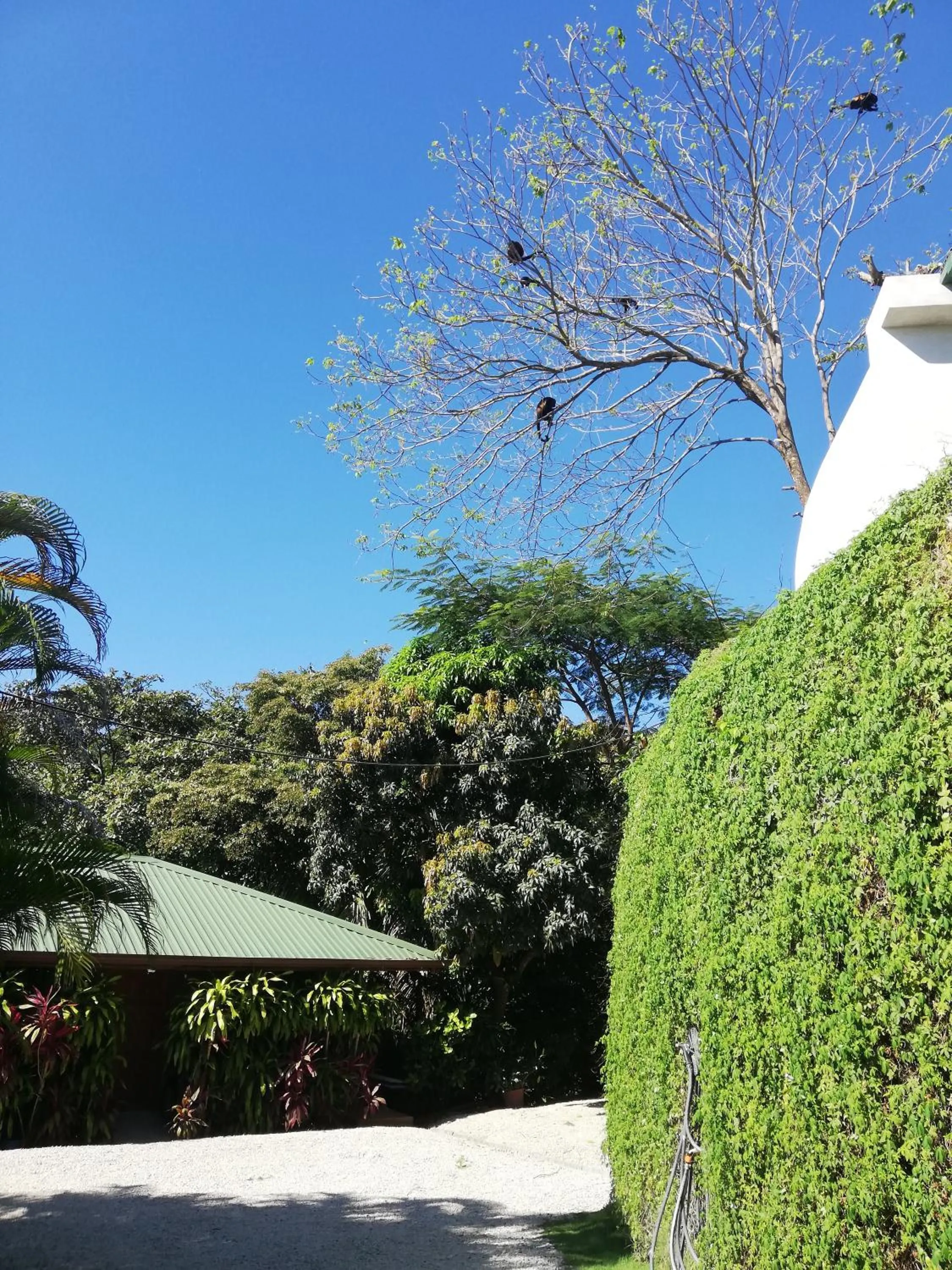 Property building in Vista Naranja Ocean View House