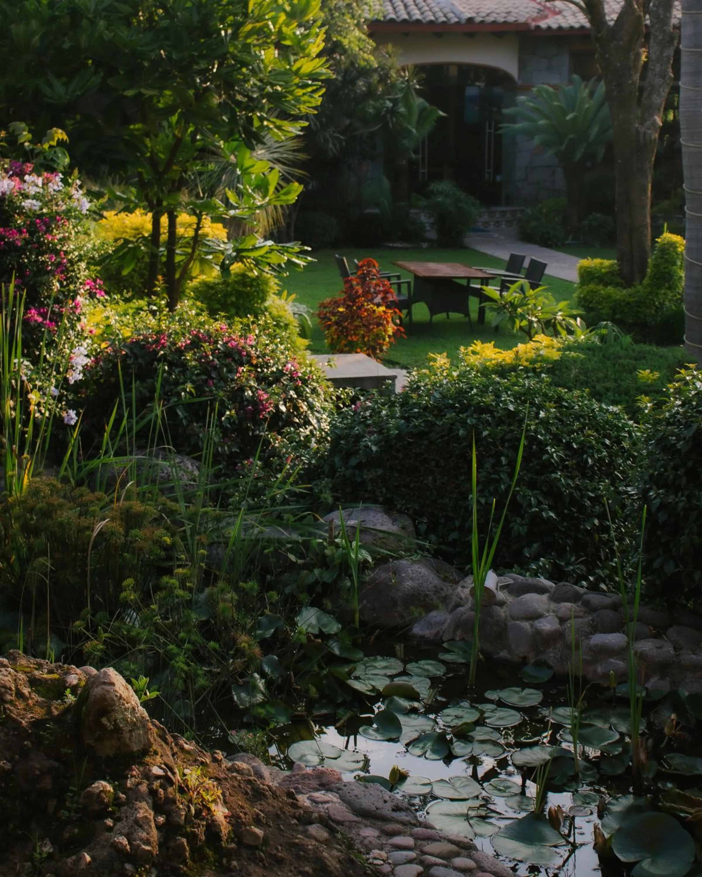 Garden view in La Buena Vibra Wellness Resort & Spa