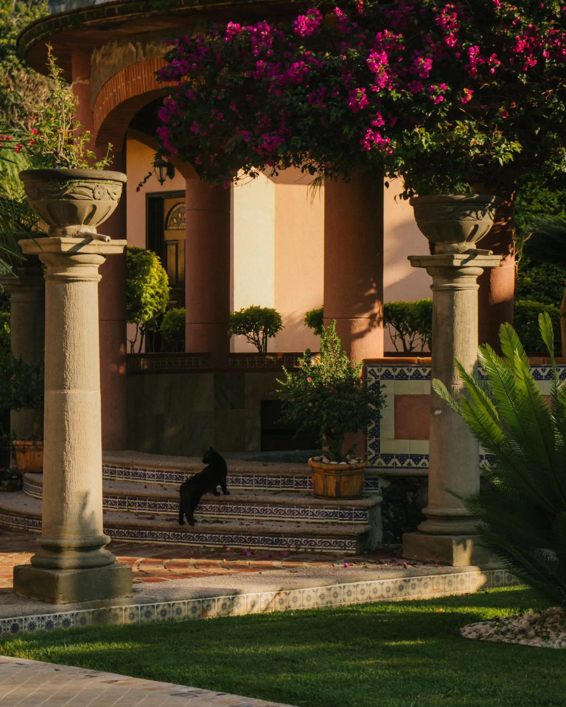 La Buena Vibra Wellness Resort & Spa