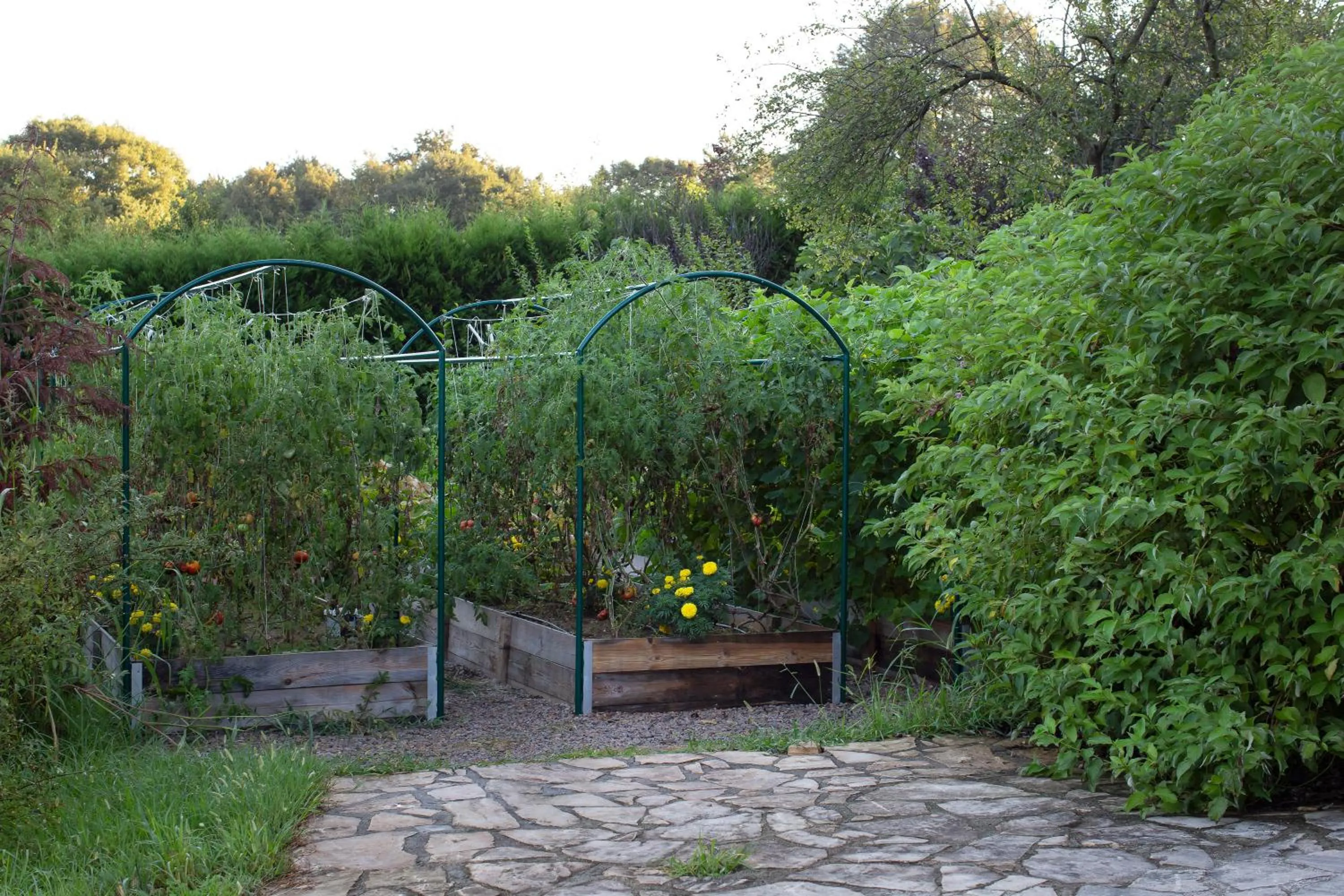 Food in Casa Lavanda Boutique Hotel