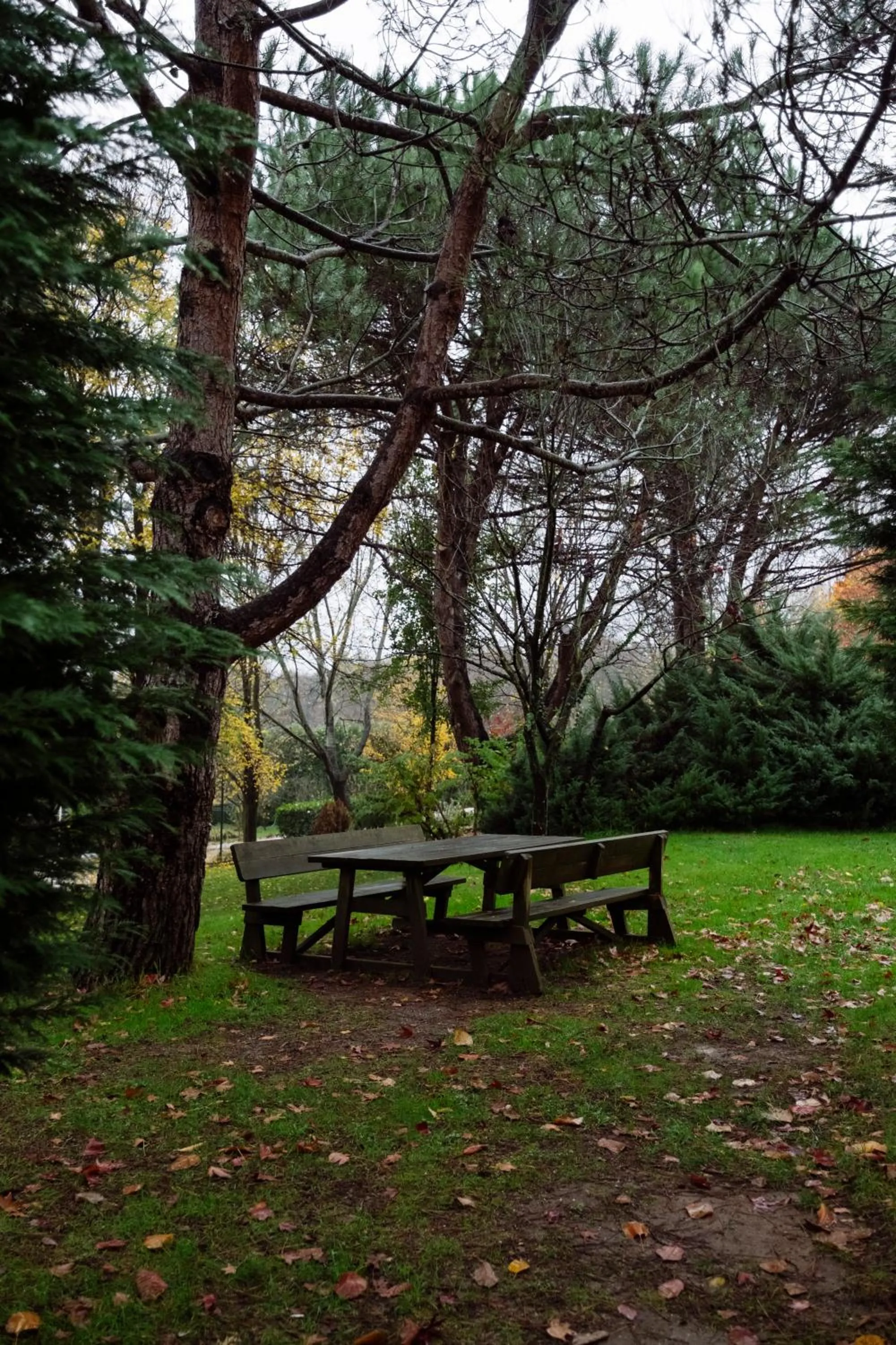 Casa Lavanda Boutique Hotel