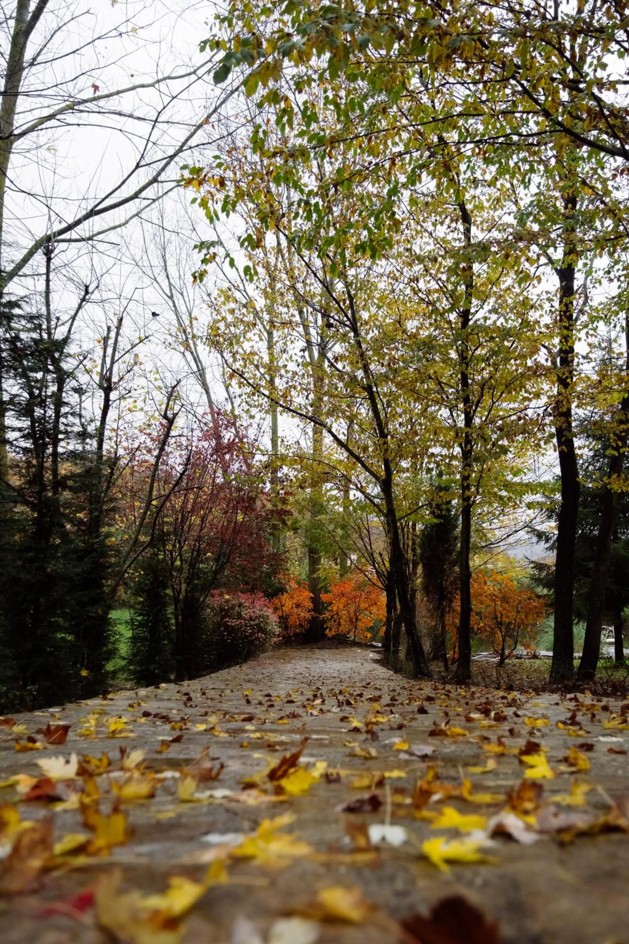 Casa Lavanda Boutique Hotel