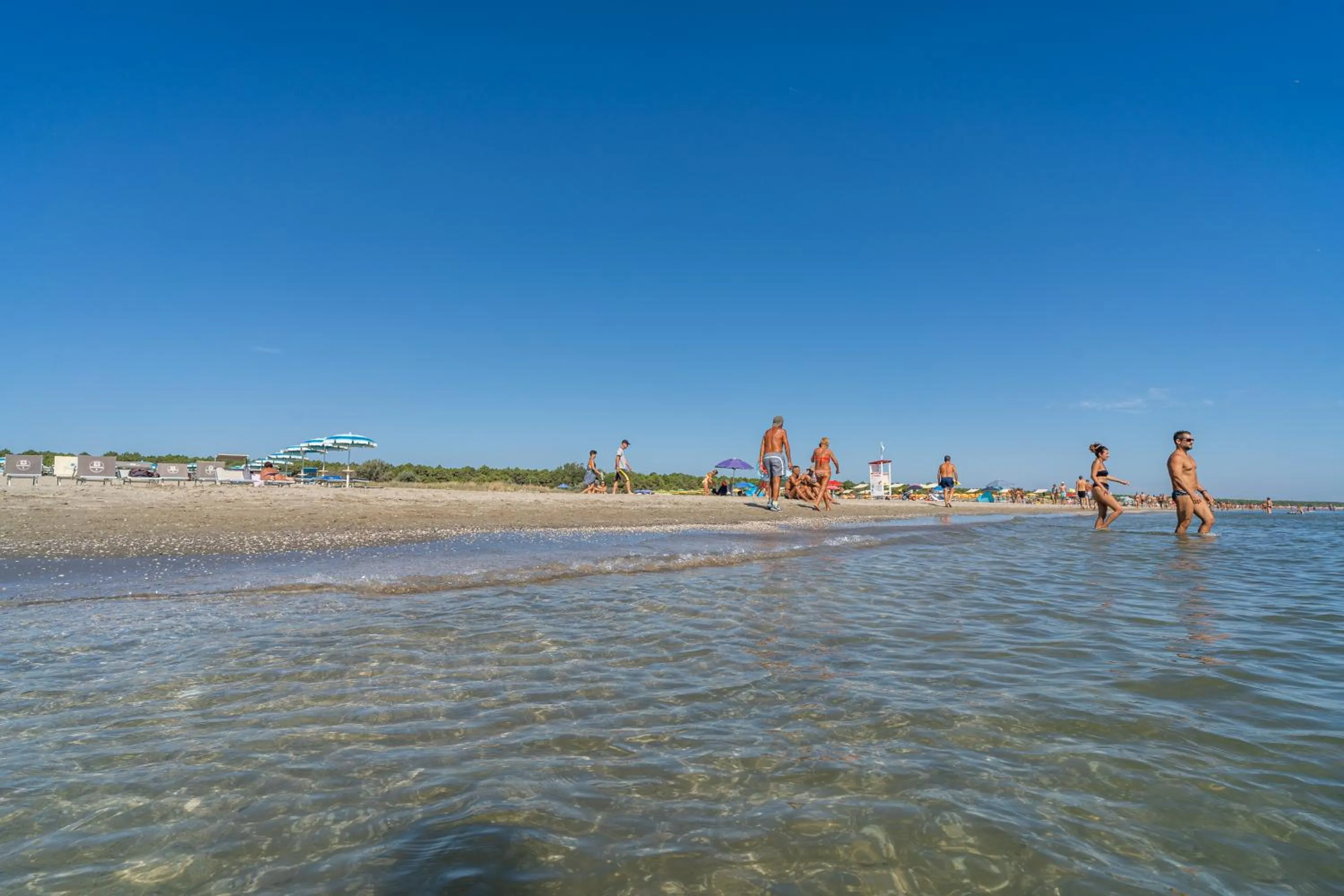 Beach in Club del Sole Marina Romea Easy Camping Village